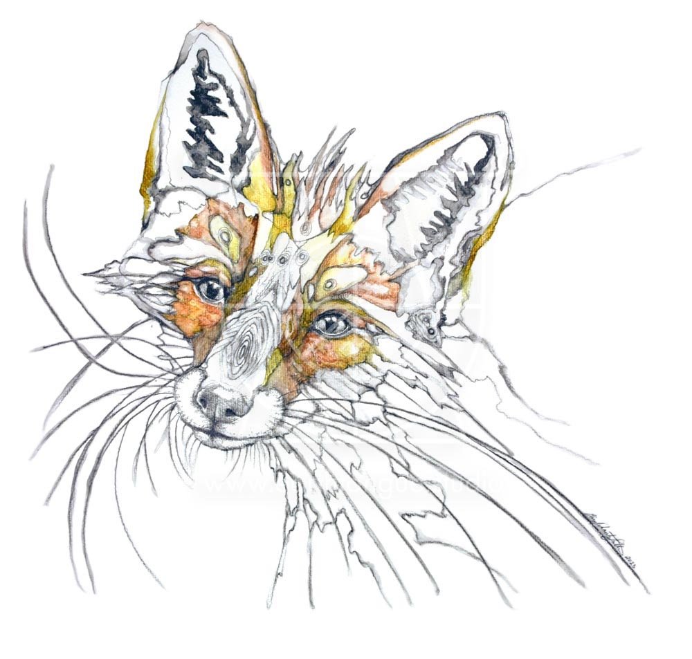 Fox Moth-watermarked.jpg