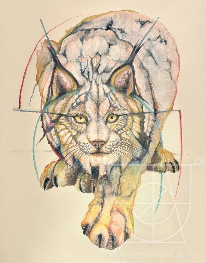 Lynx