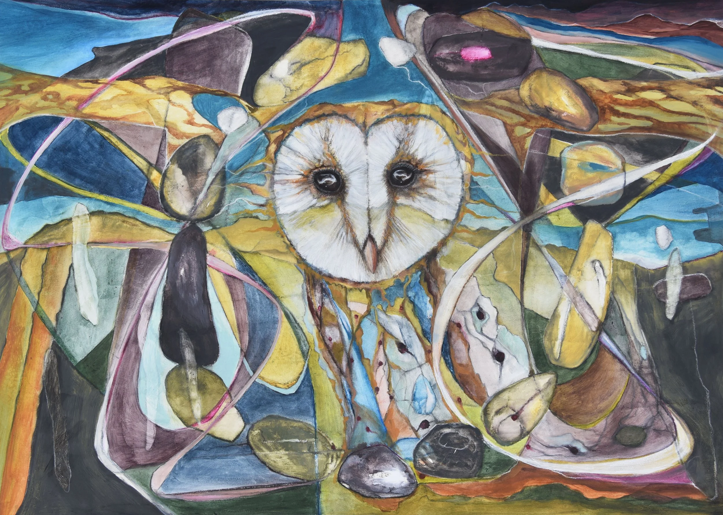 Achnahuaigh Owl.01.26.jpeg