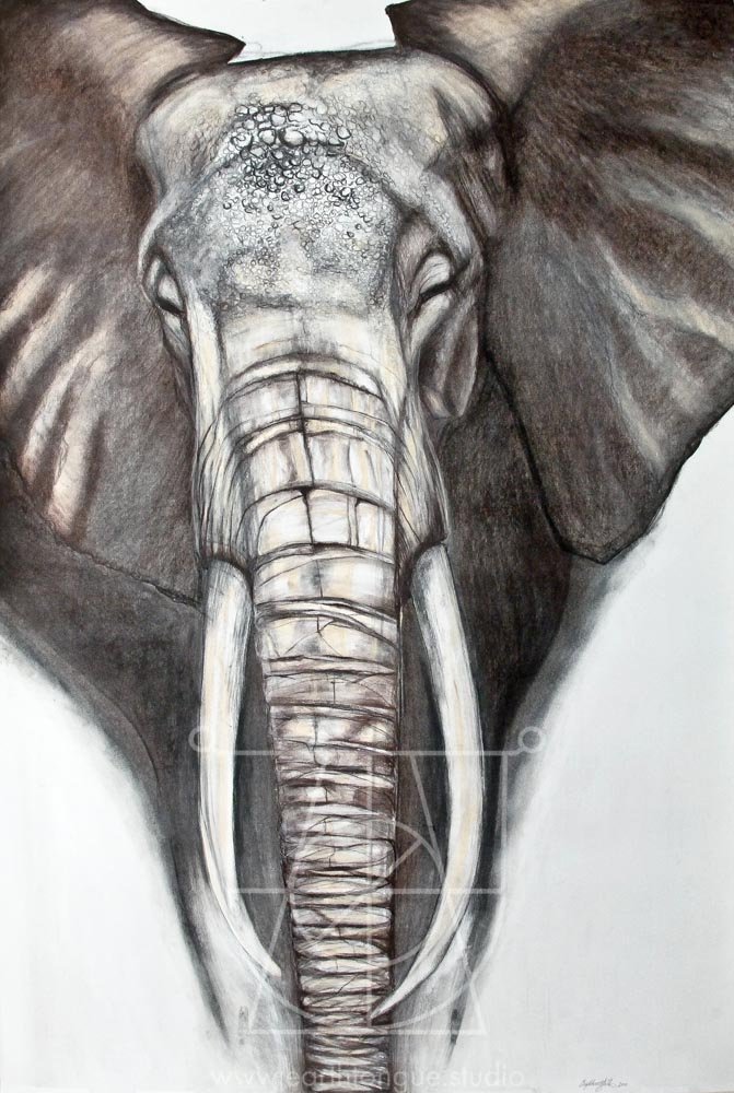 Sound of Elephant I