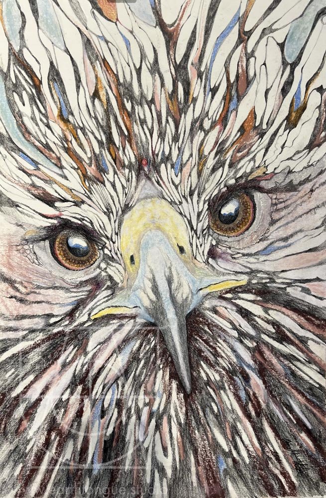Hawk Wisdom (Original Drawing)