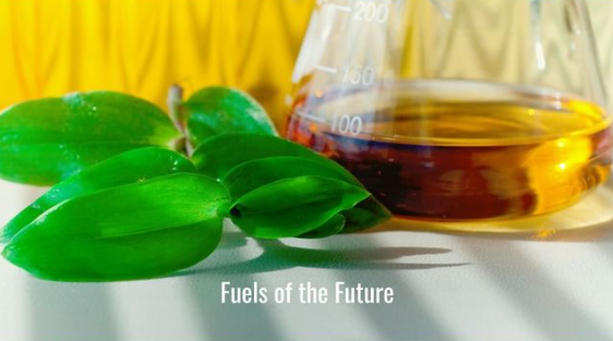 Green biofuel plants next to a beaker of amber liquid with the caption 'Fuels of the Future'.