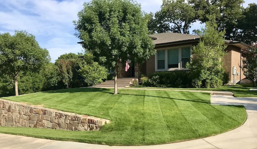 Beautifully striped lawn with a fresh mow.