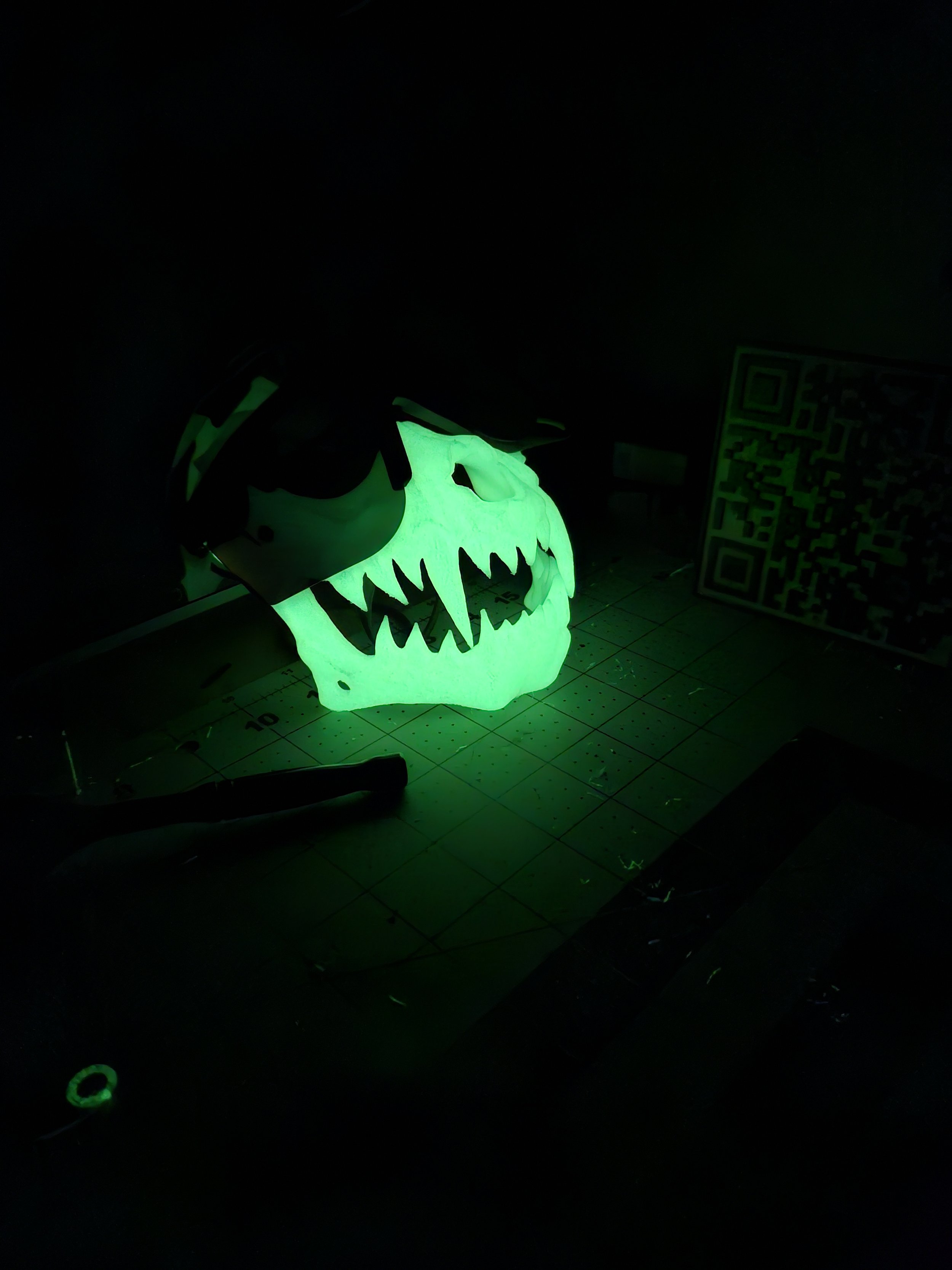20241022_212205.jpg