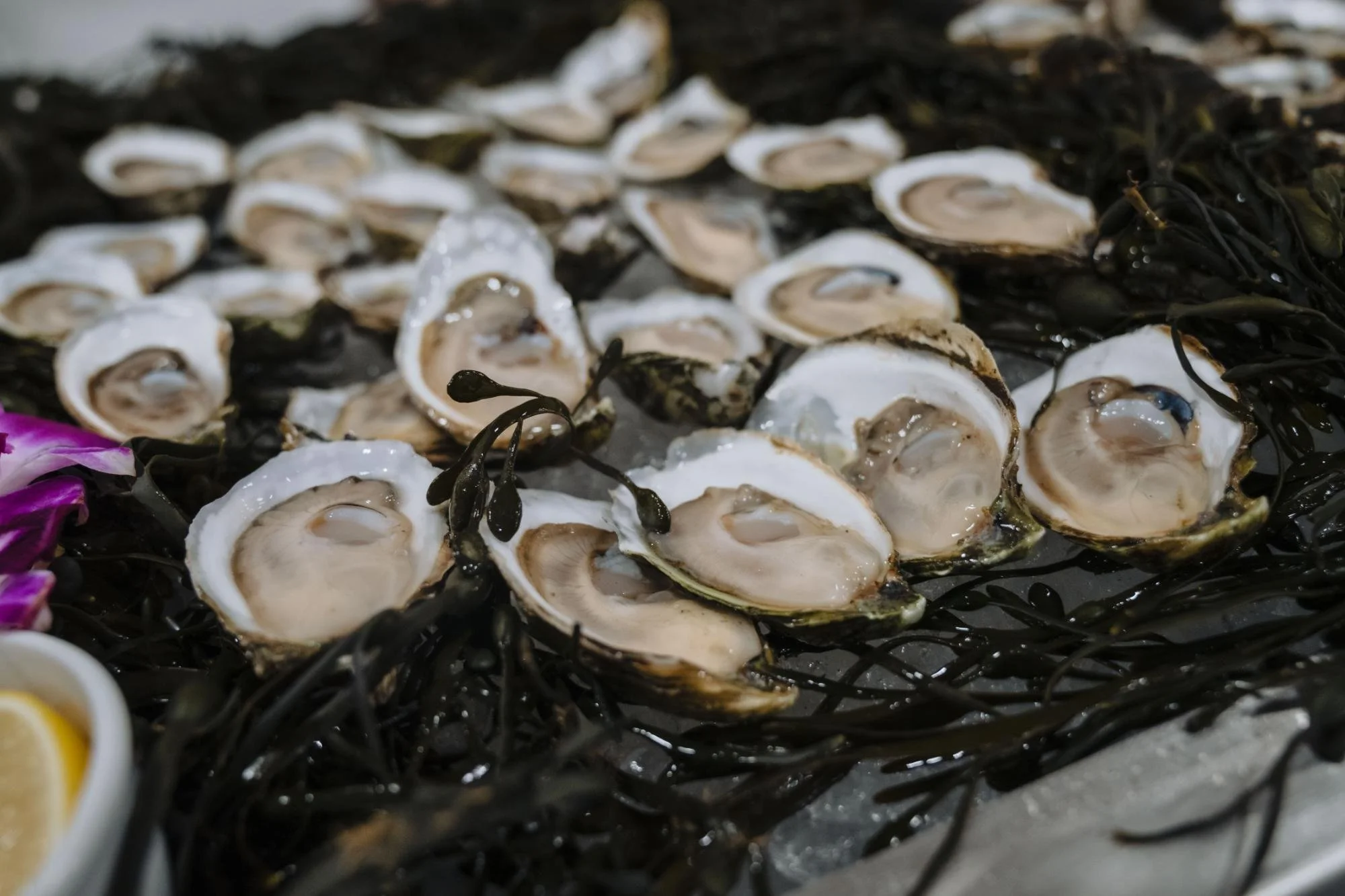 J Doner Media Rally Event Party (11).jpg