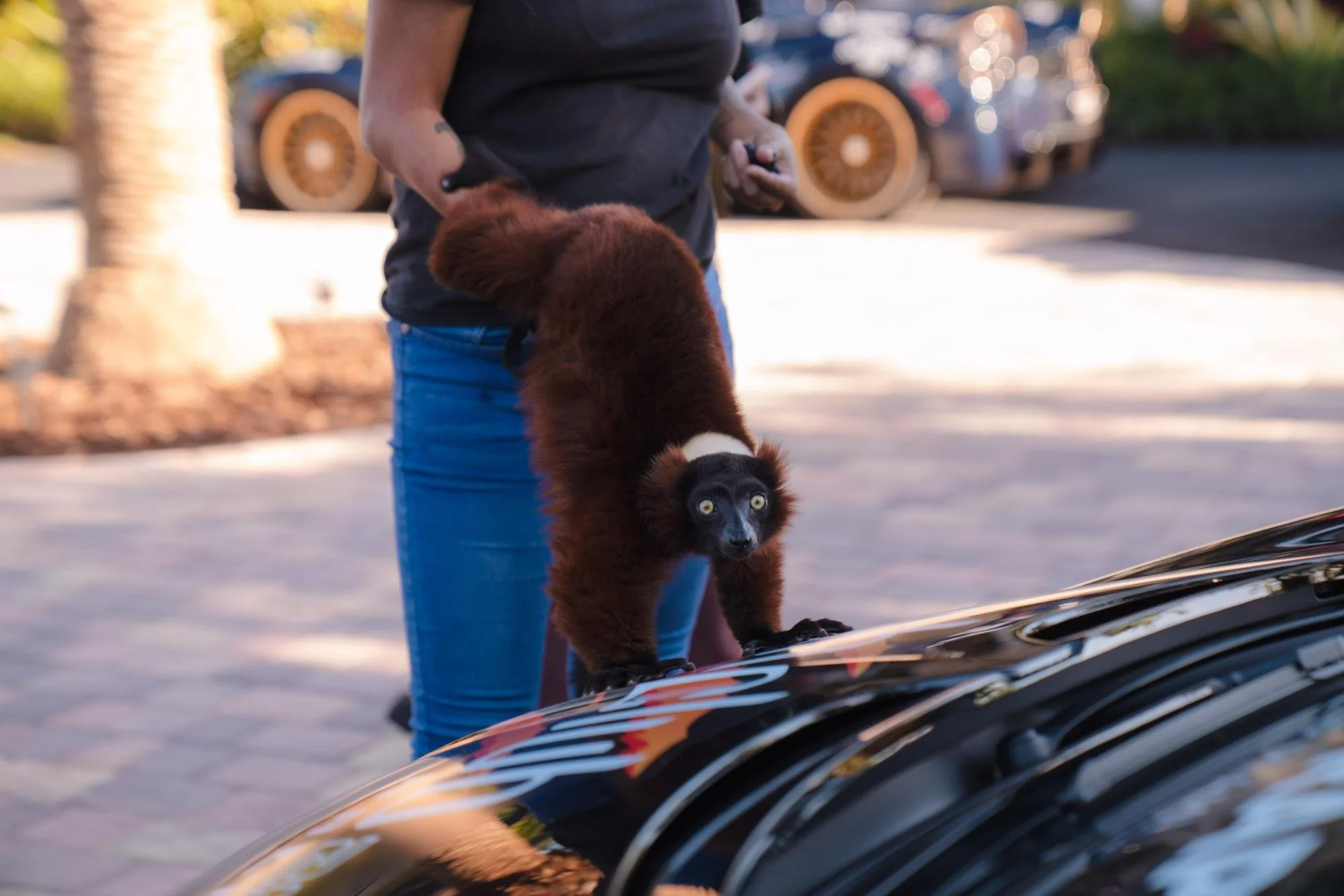 J Doner Media Rally Event Party (40).jpg