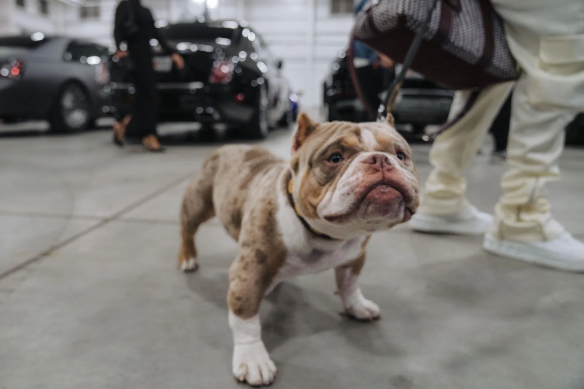 J Doner Media Rally Event Party (16).jpg