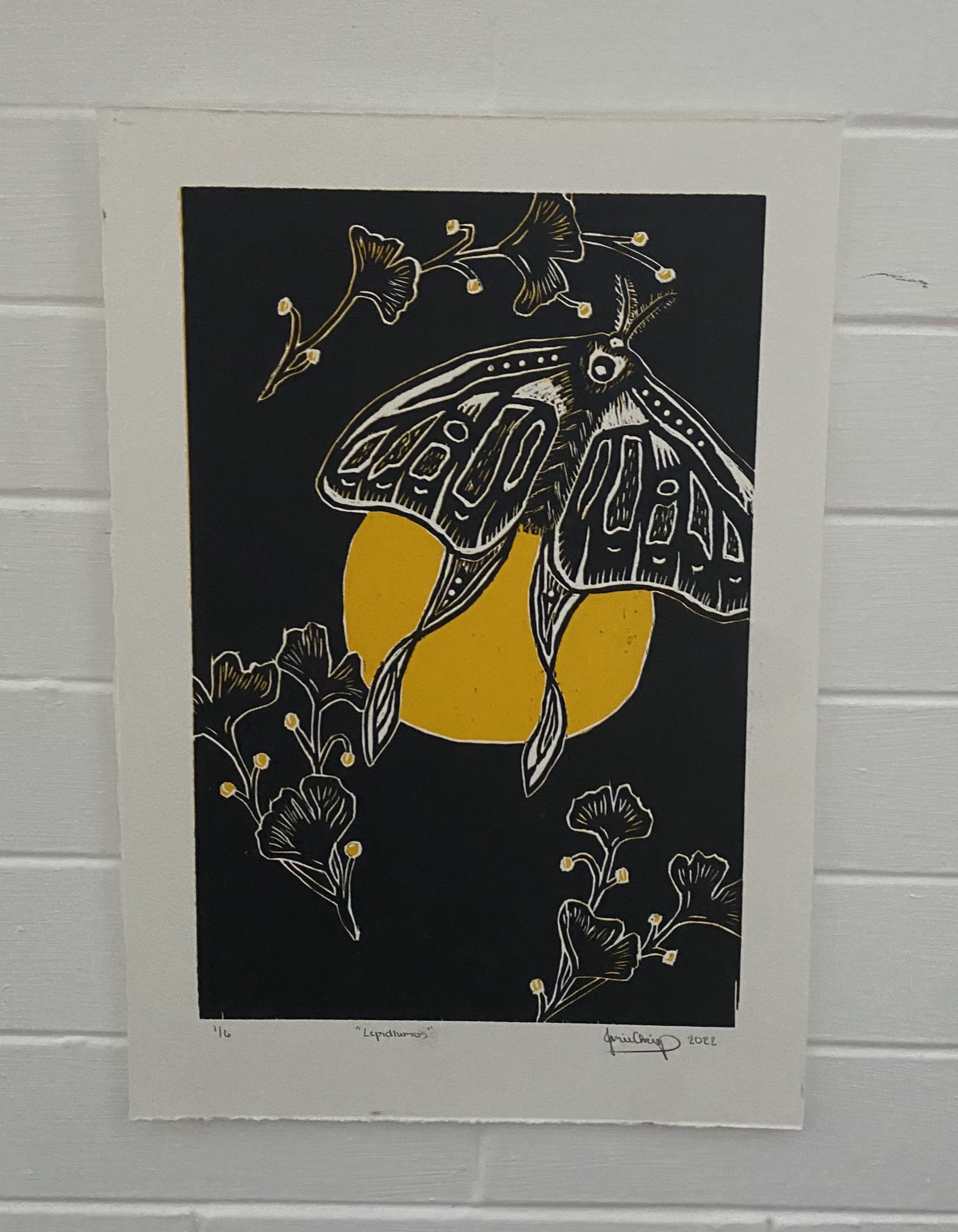 Lepidlumos 11x14