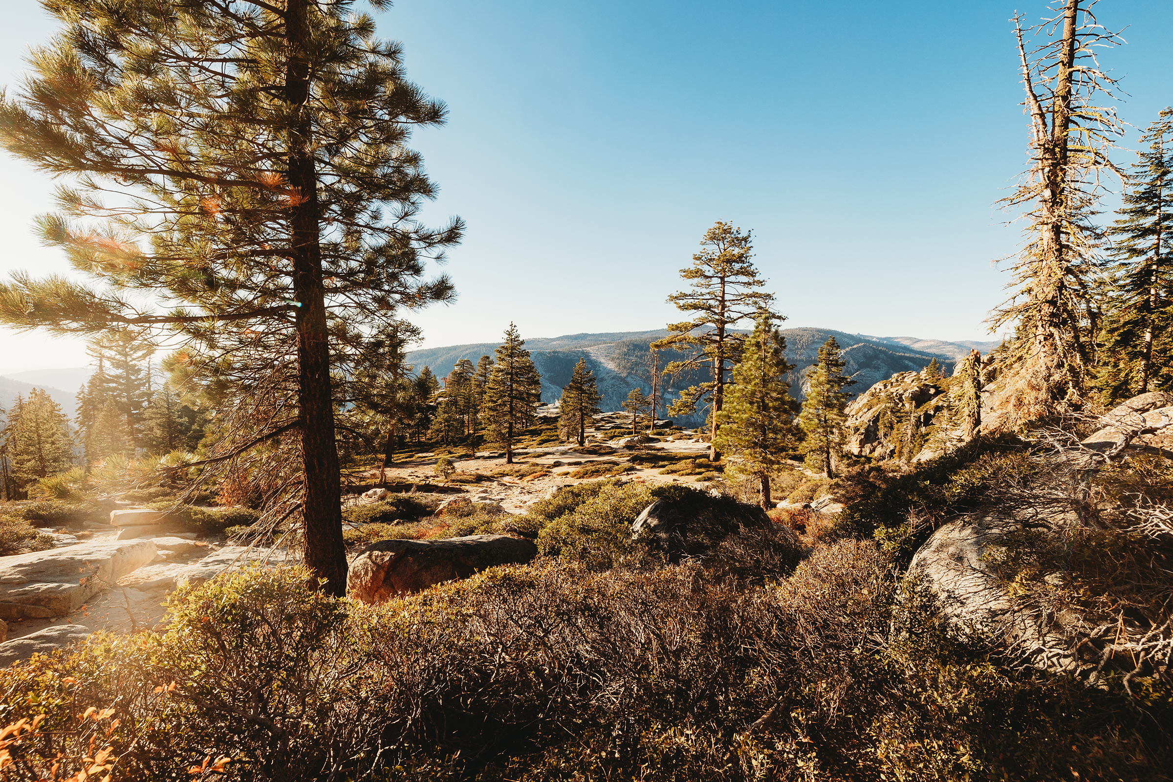 Golden Hour Landscape Wedding View at Yosemite National Park.