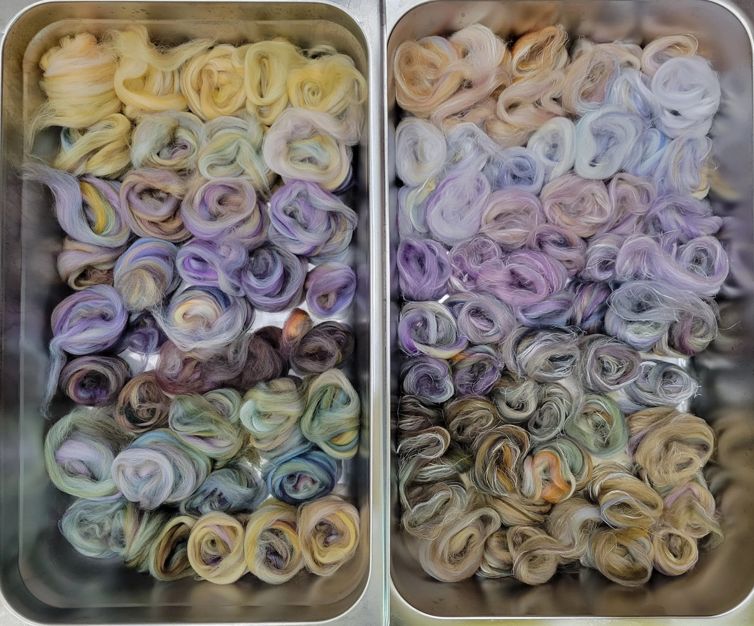 20260203_153302 (1).jpg