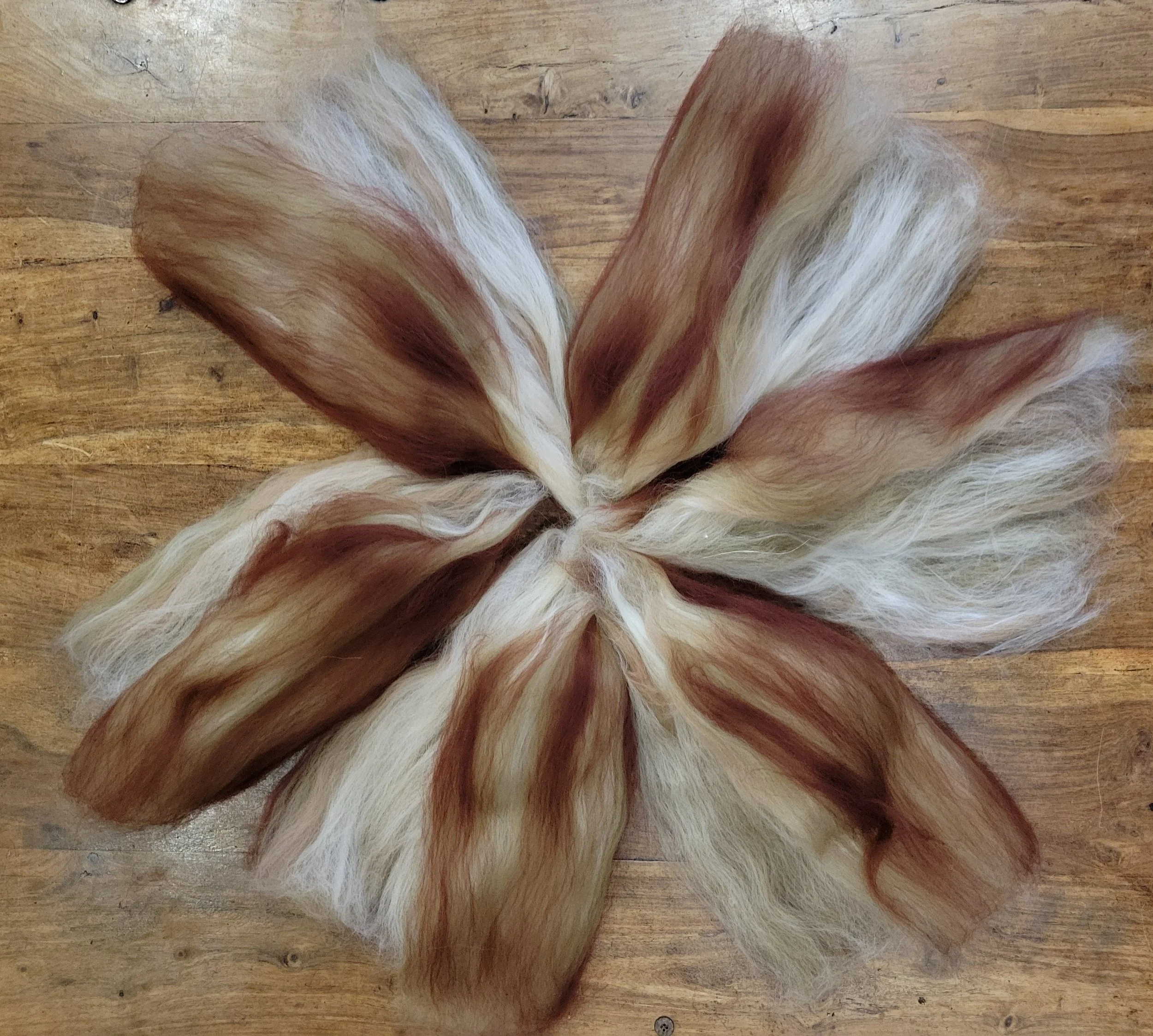 20260210_220624 (1).jpg