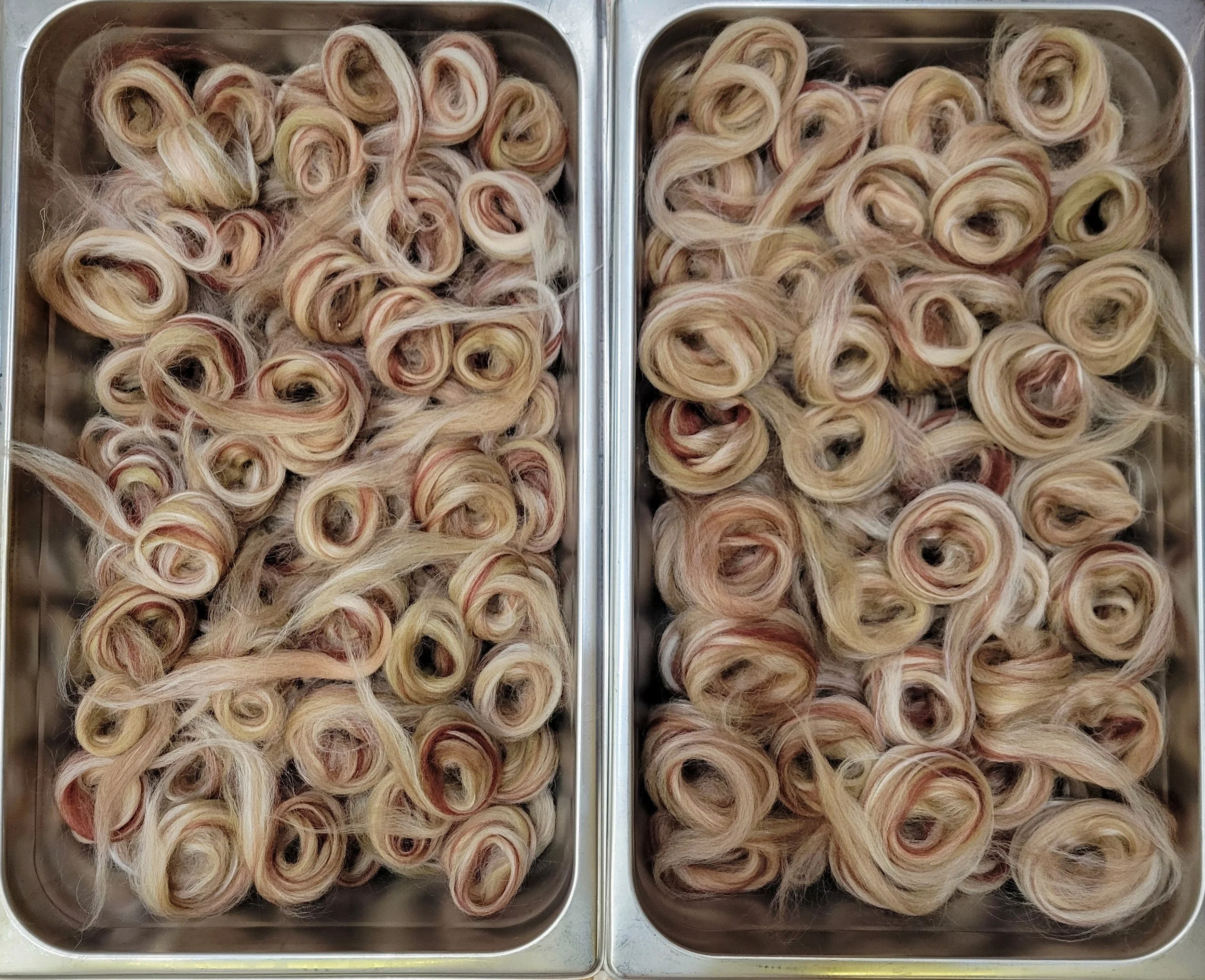 20260211_223738 (1).jpg