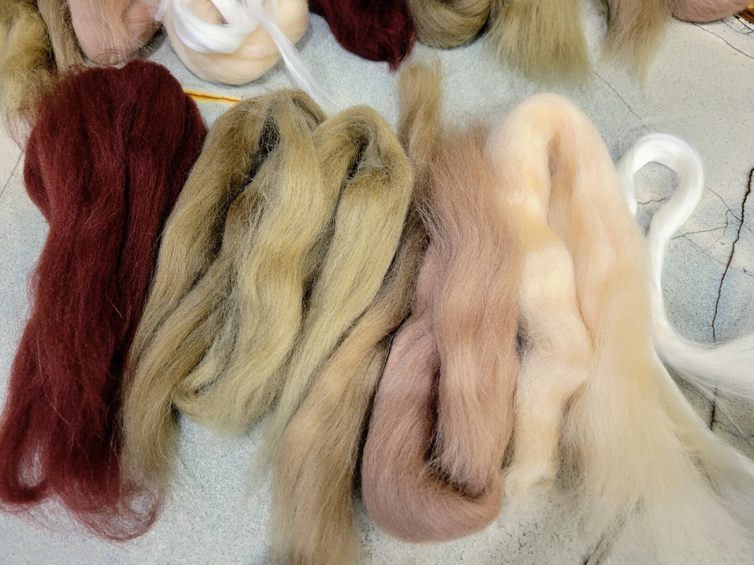 20260210_182217 (1).jpg