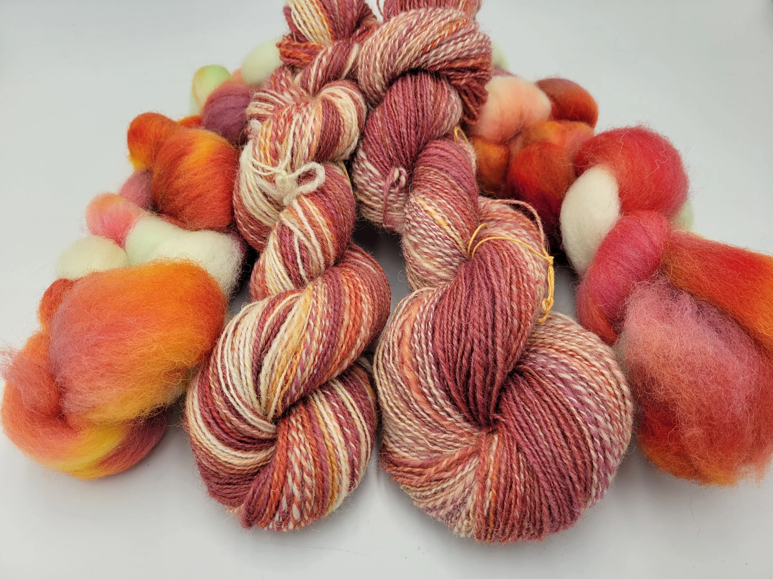 Spinning Shetland Colour 2 ways