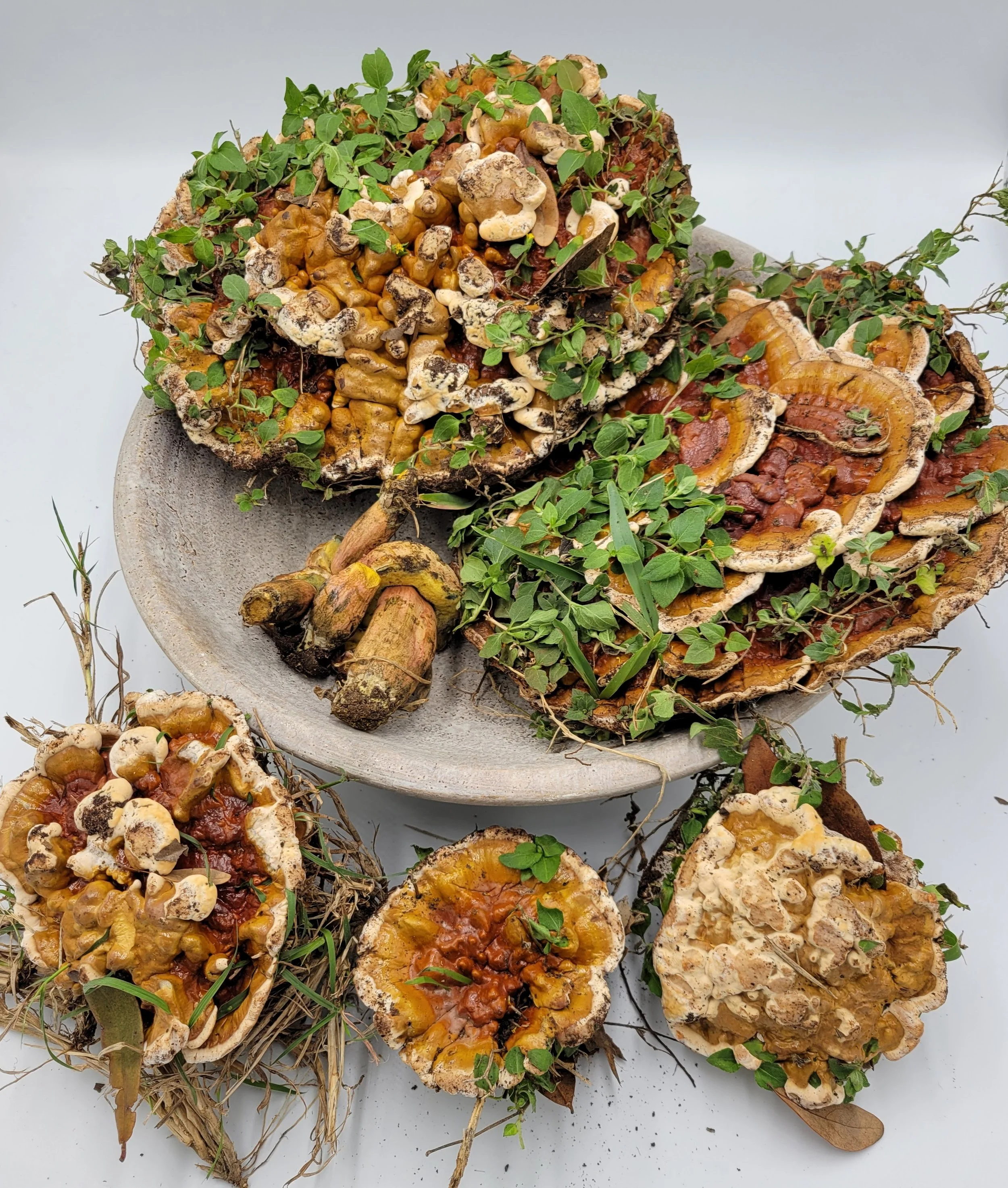 20251121_230254 (2).jpg