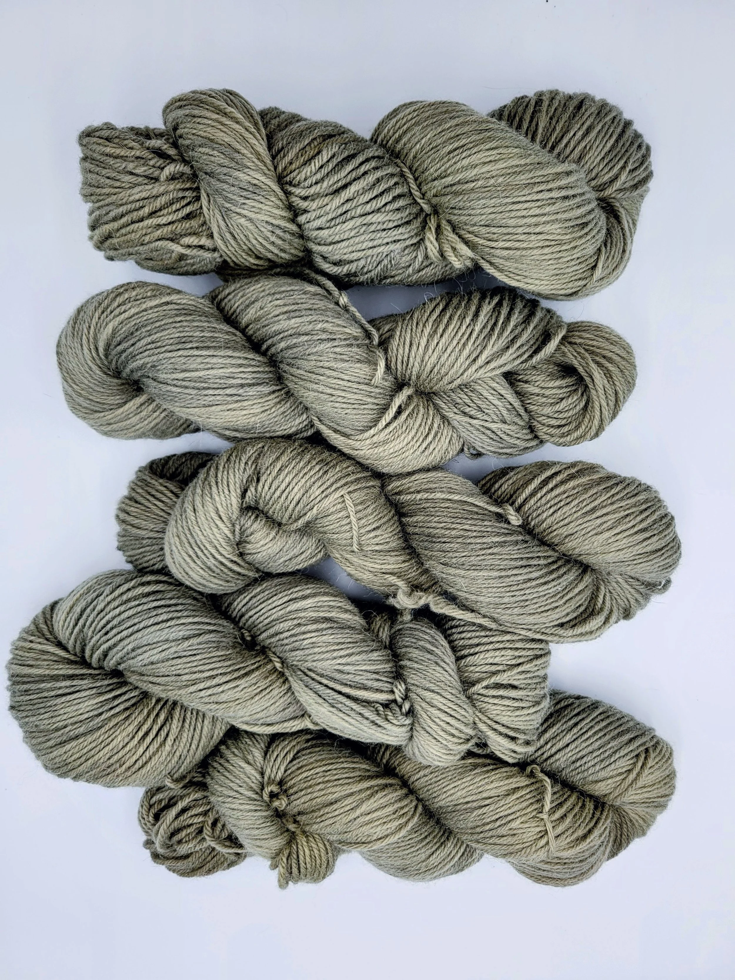 20260212_151240-EDIT (1).jpg