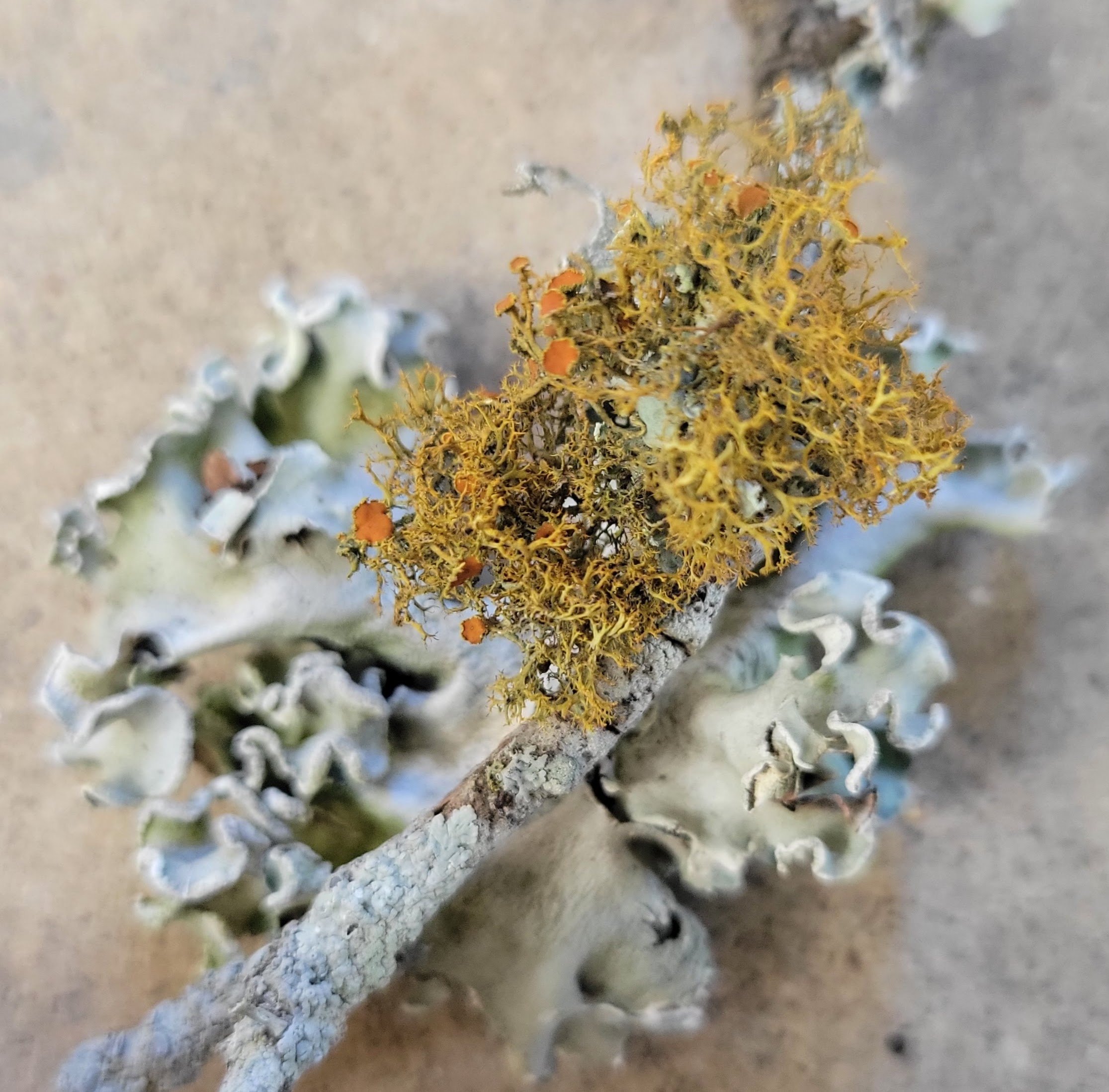 20251104_161218 (2).jpg