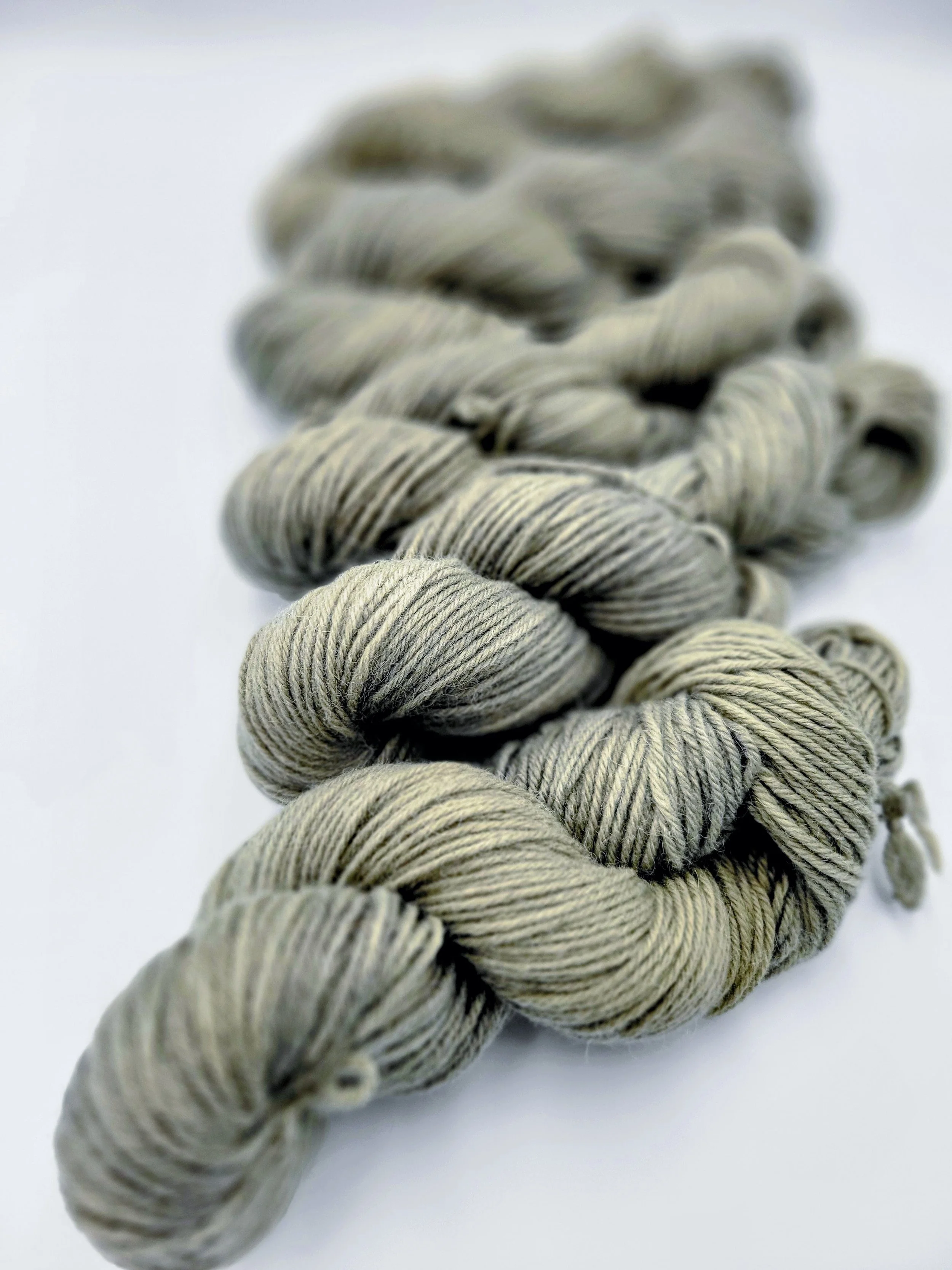 20260212_151215-EDIT (1).jpg