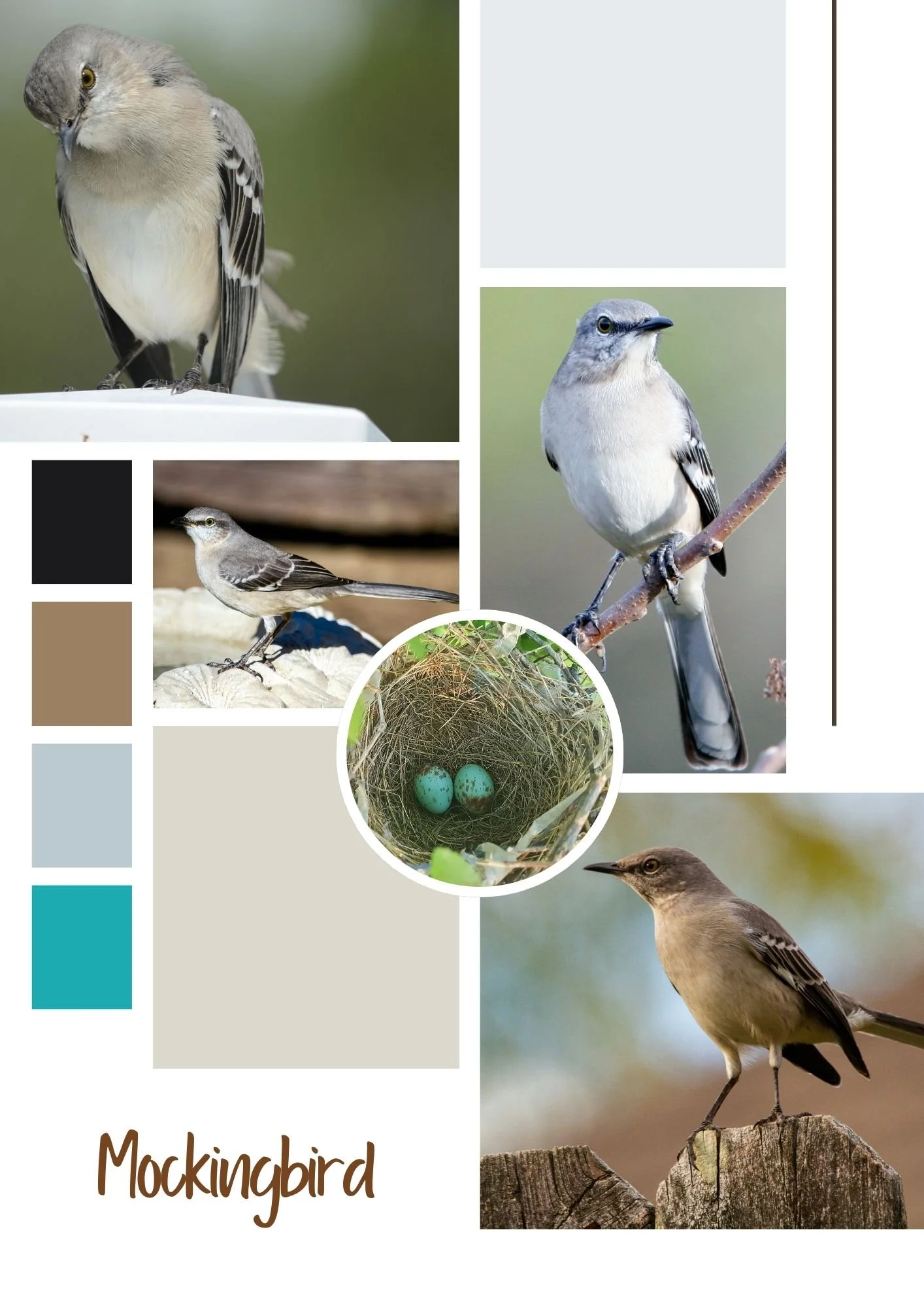 Beige Illustrated Mood Board Interior Design A4.jpg