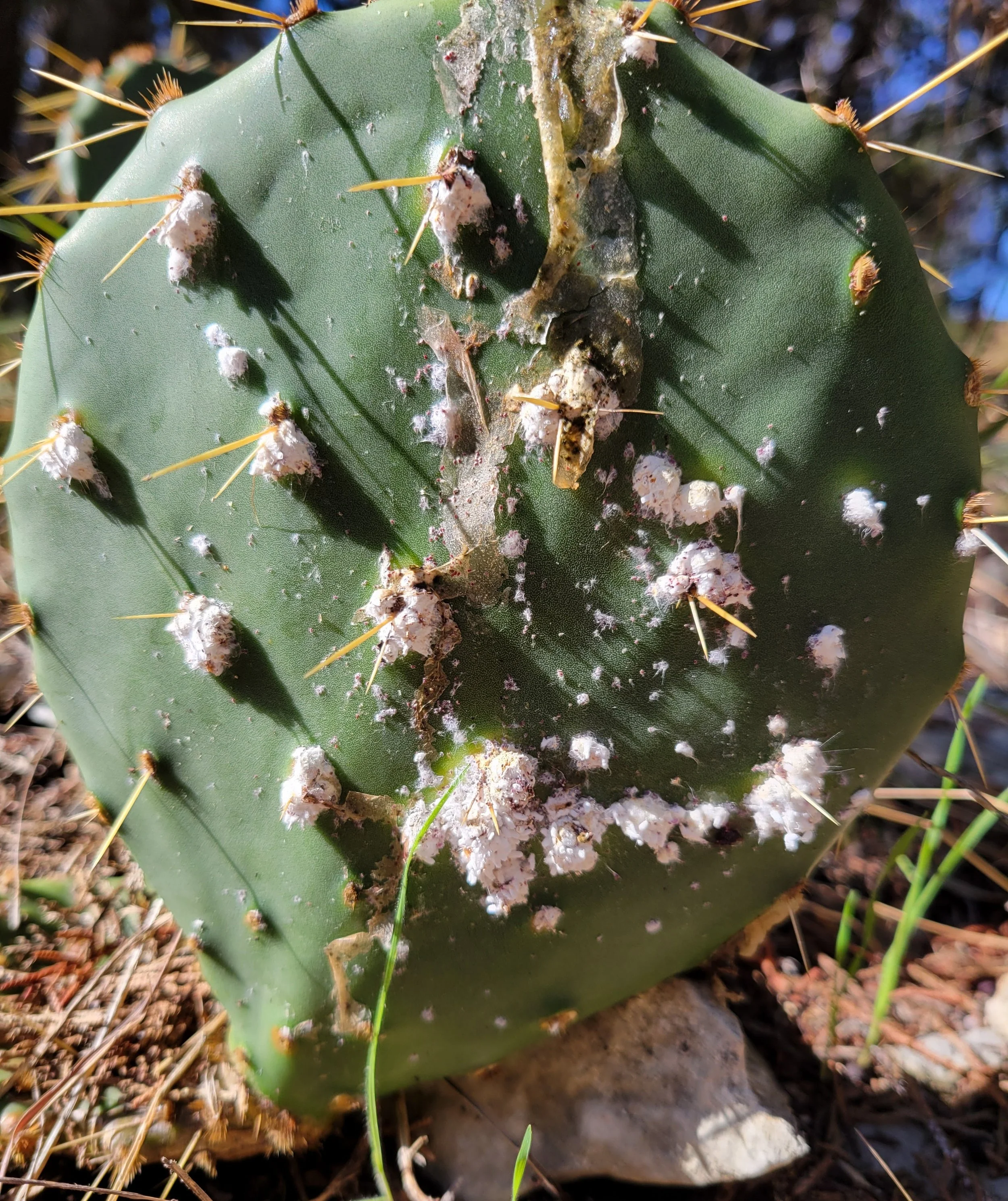 20251122_121927 (1).jpg