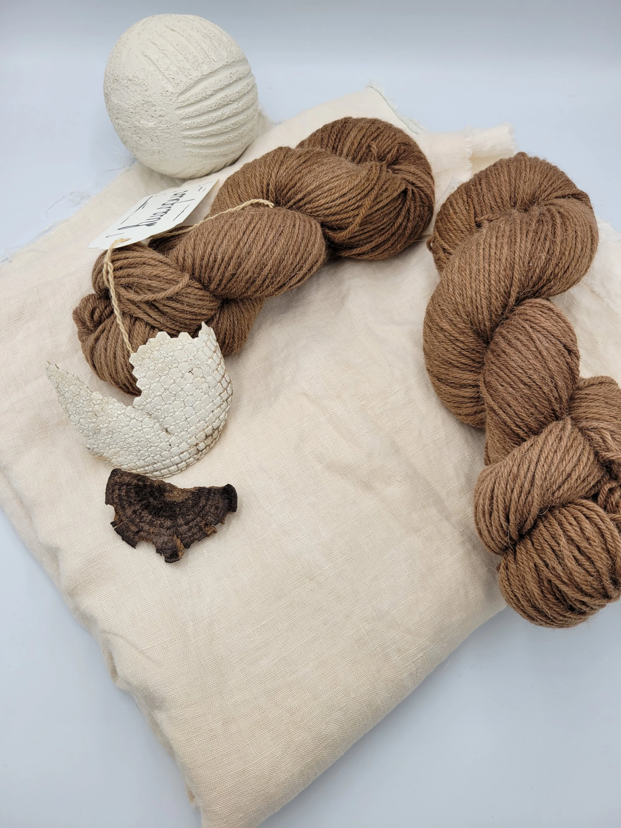 20260212_152840 (1).jpg