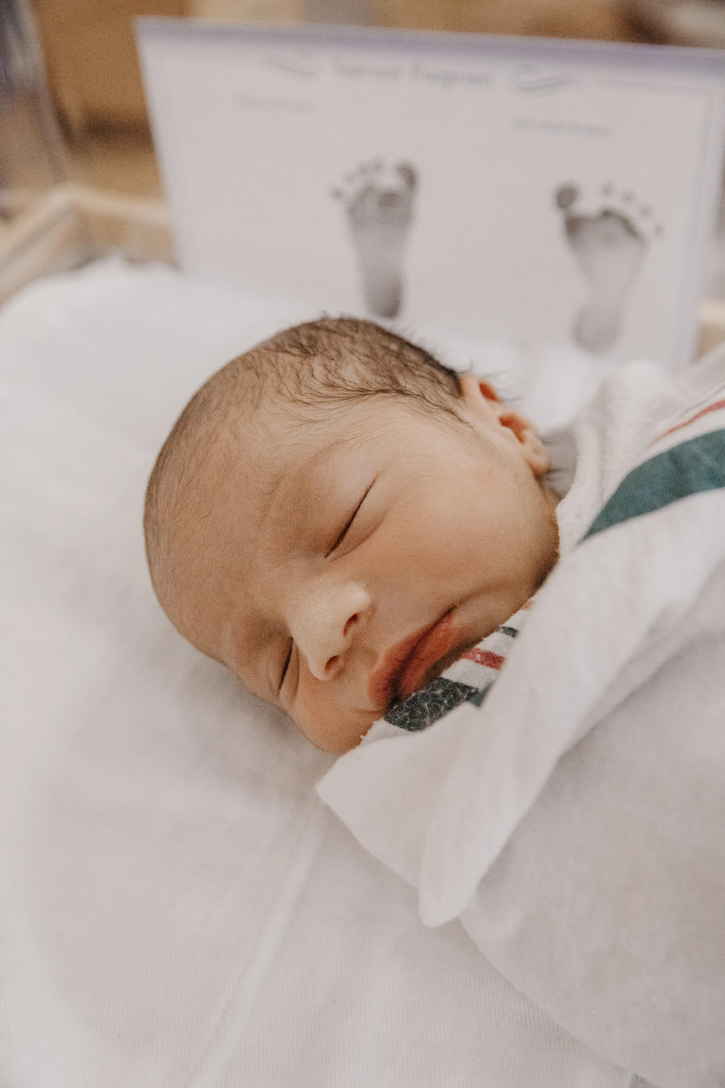 20240914-IMG_8686 copy.jpg