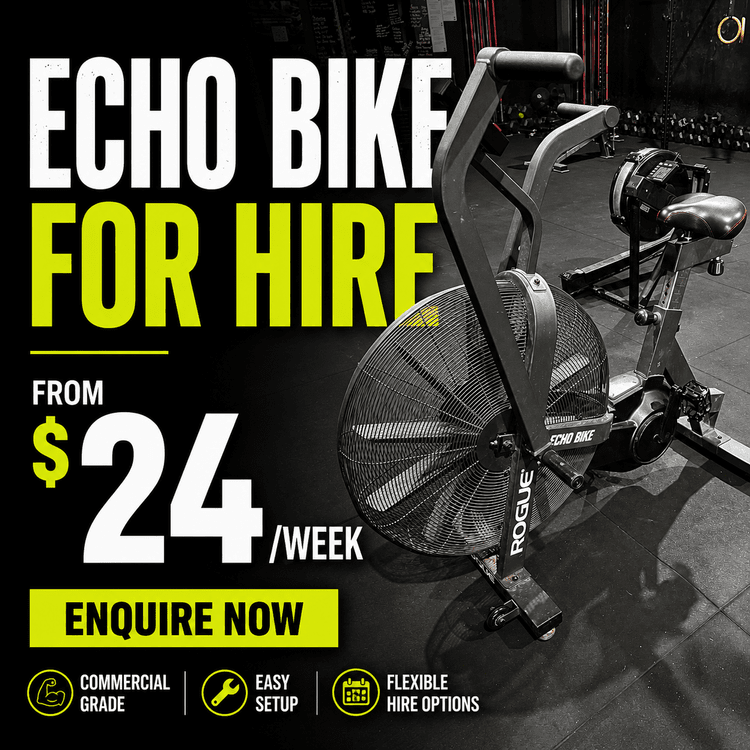 Rogue Echo Bike for hire