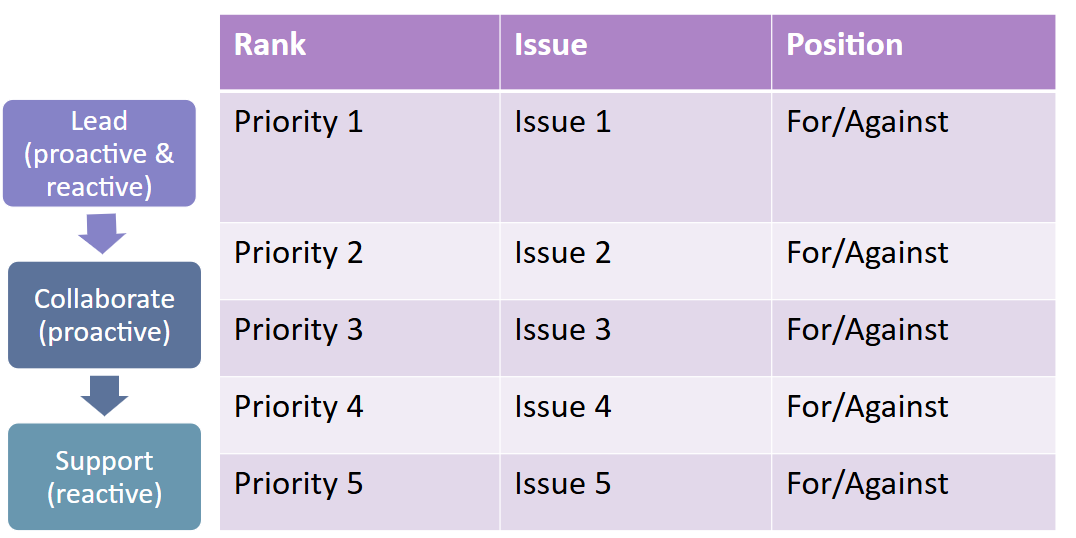Final Issue Ranking and Position Outline Sample