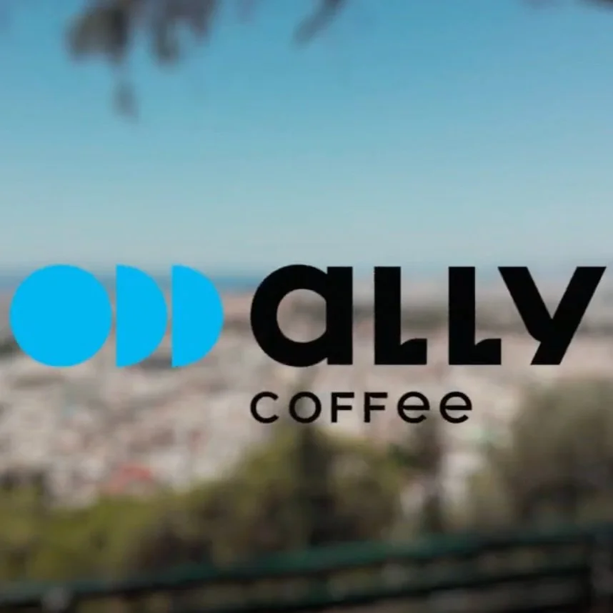 Ally Strategic Video Content.jpg