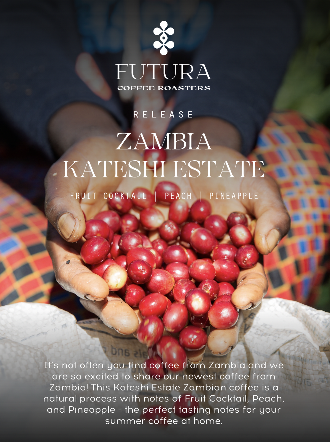 Captura de pantalla 2024-09-20 a la(s) 9.21.56 p. m..png