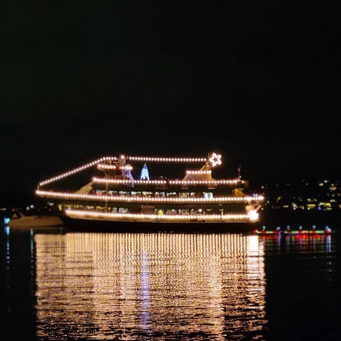 Christmas Ships @ Colman Park Beach - 7:45pm