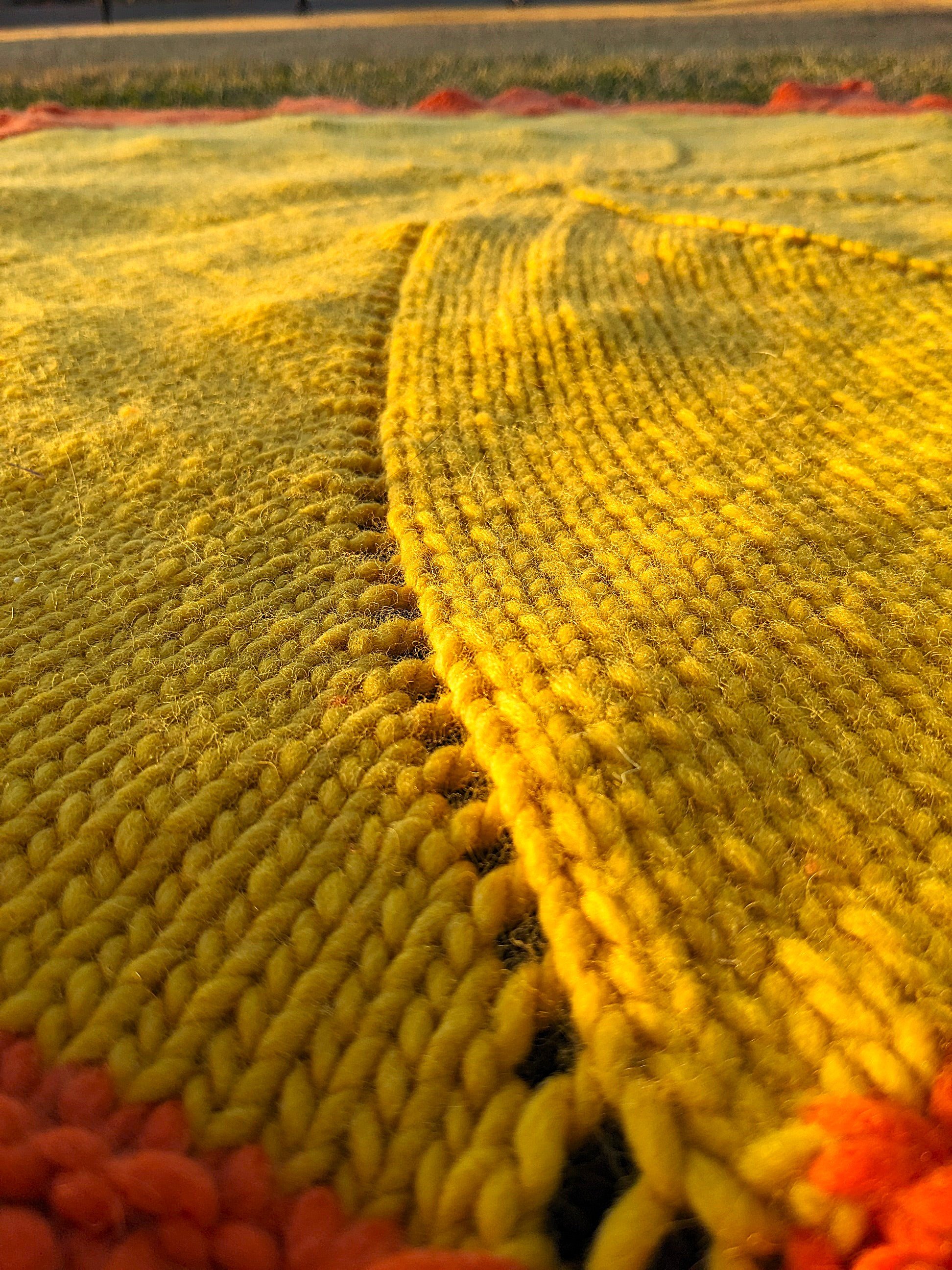 PXL_20241119_235557078 2.jpg