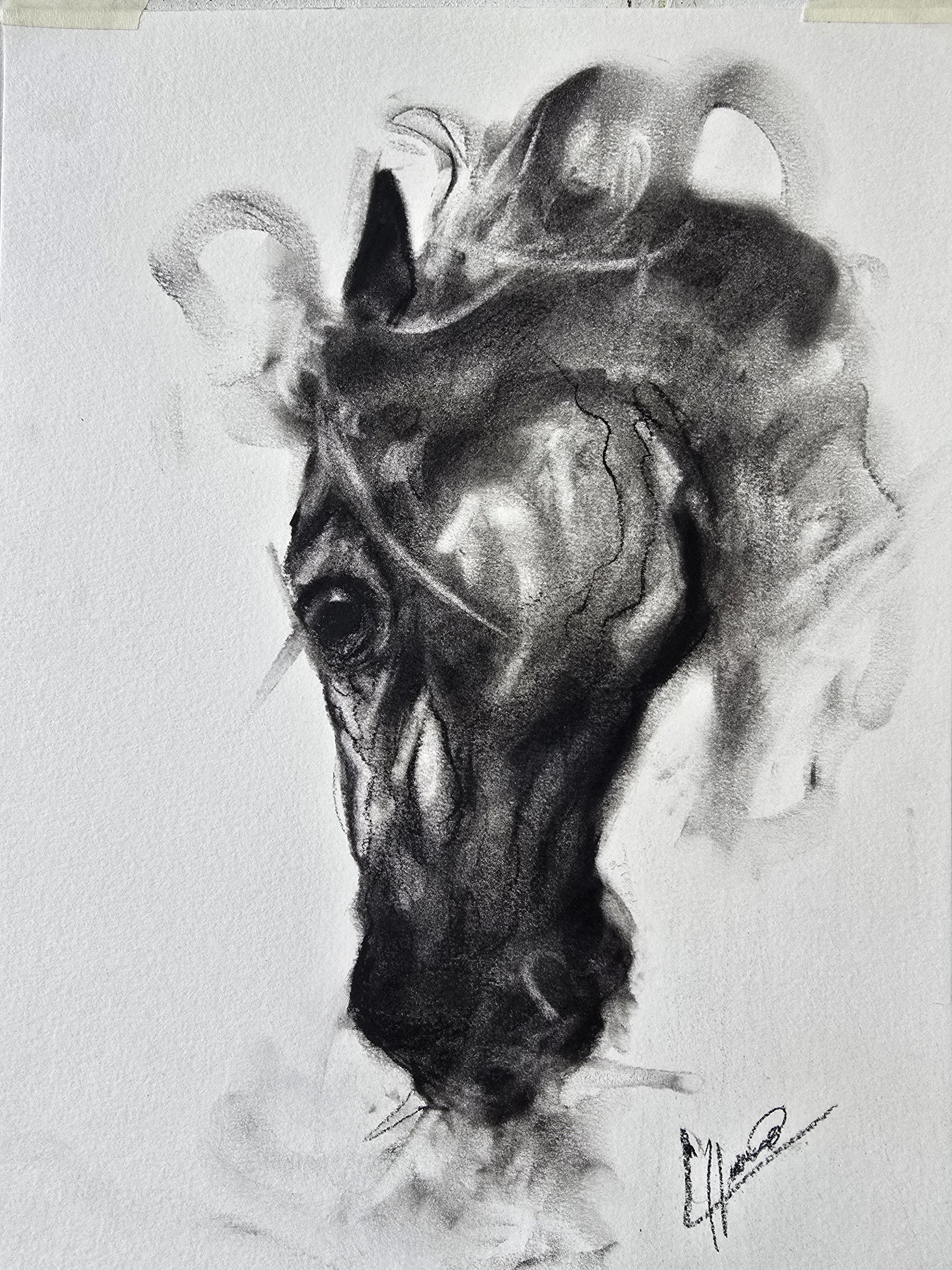 Drawing # 47