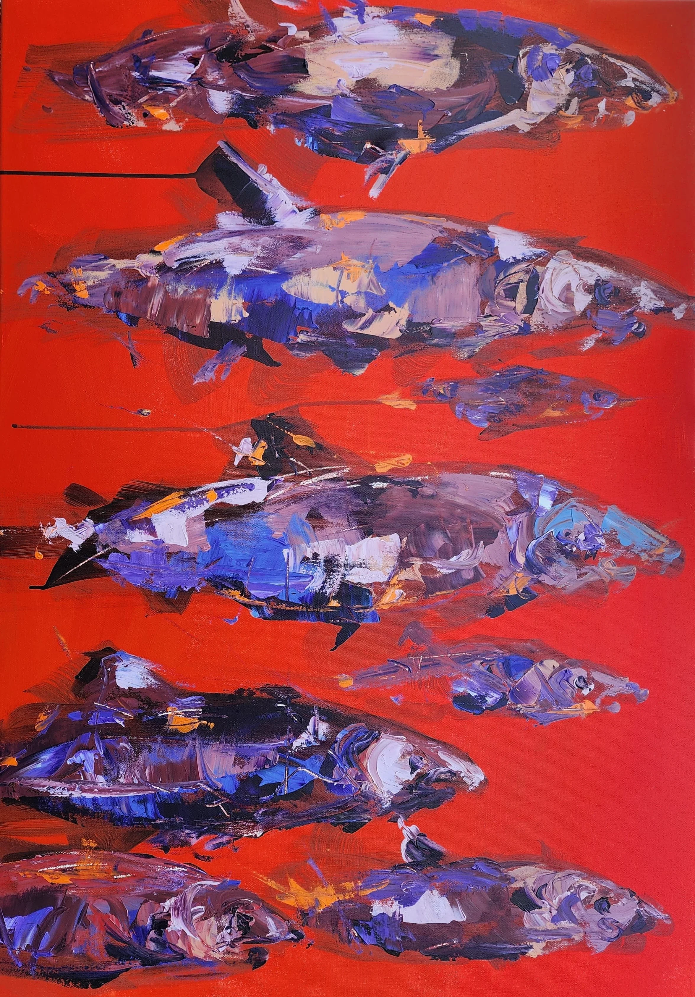 Red Salmon