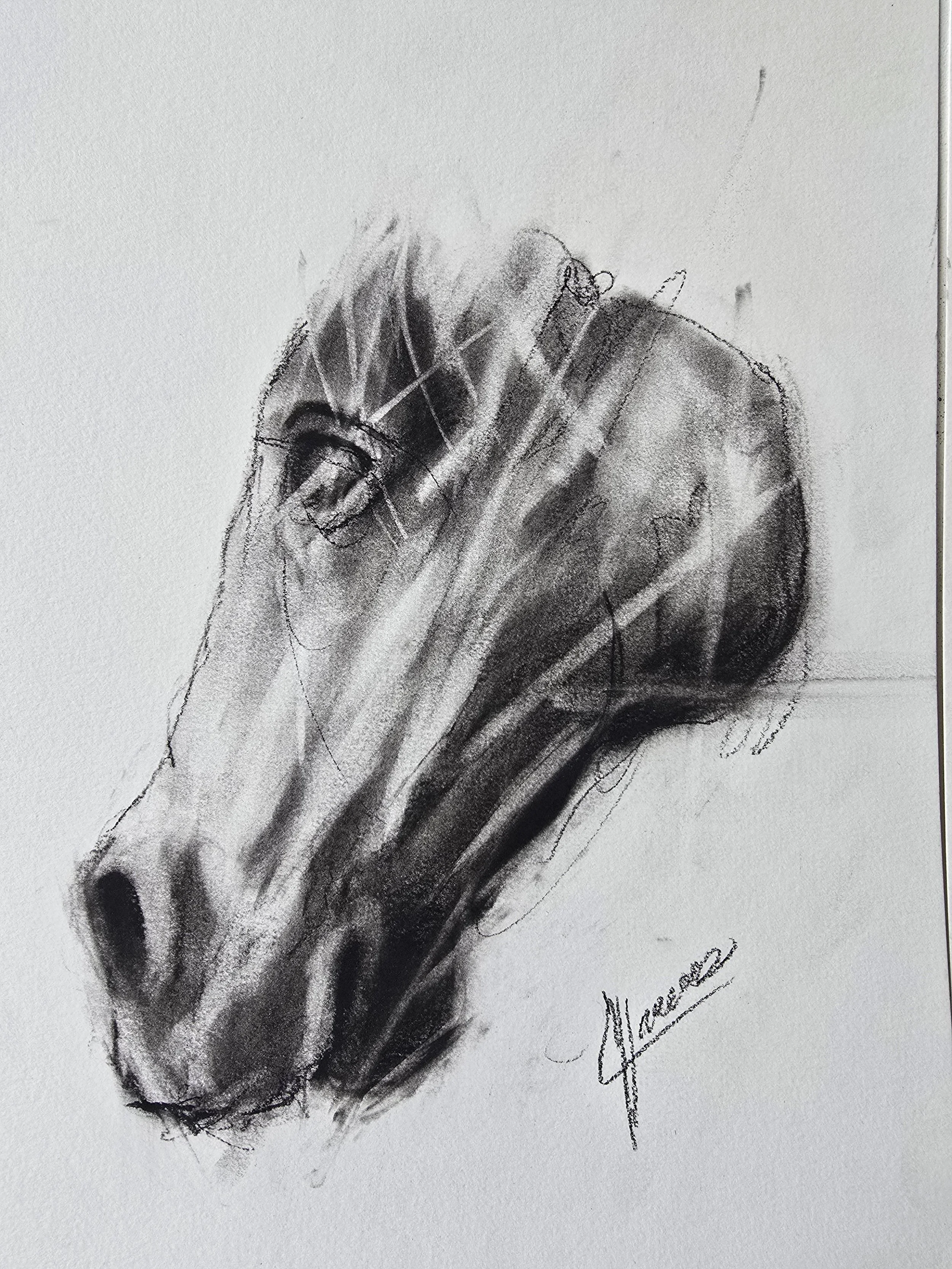 Drawing # 48