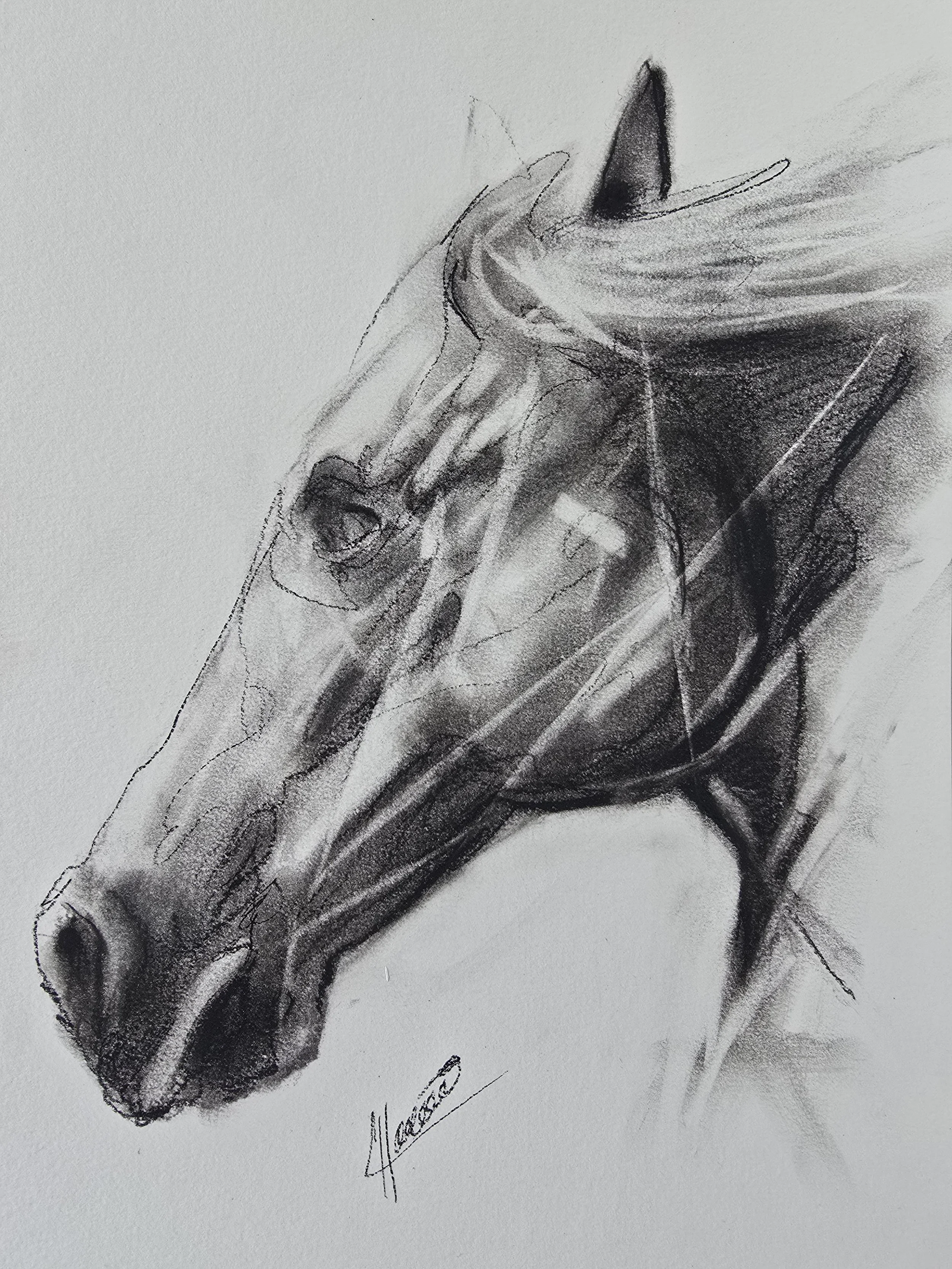 Drawing # 49