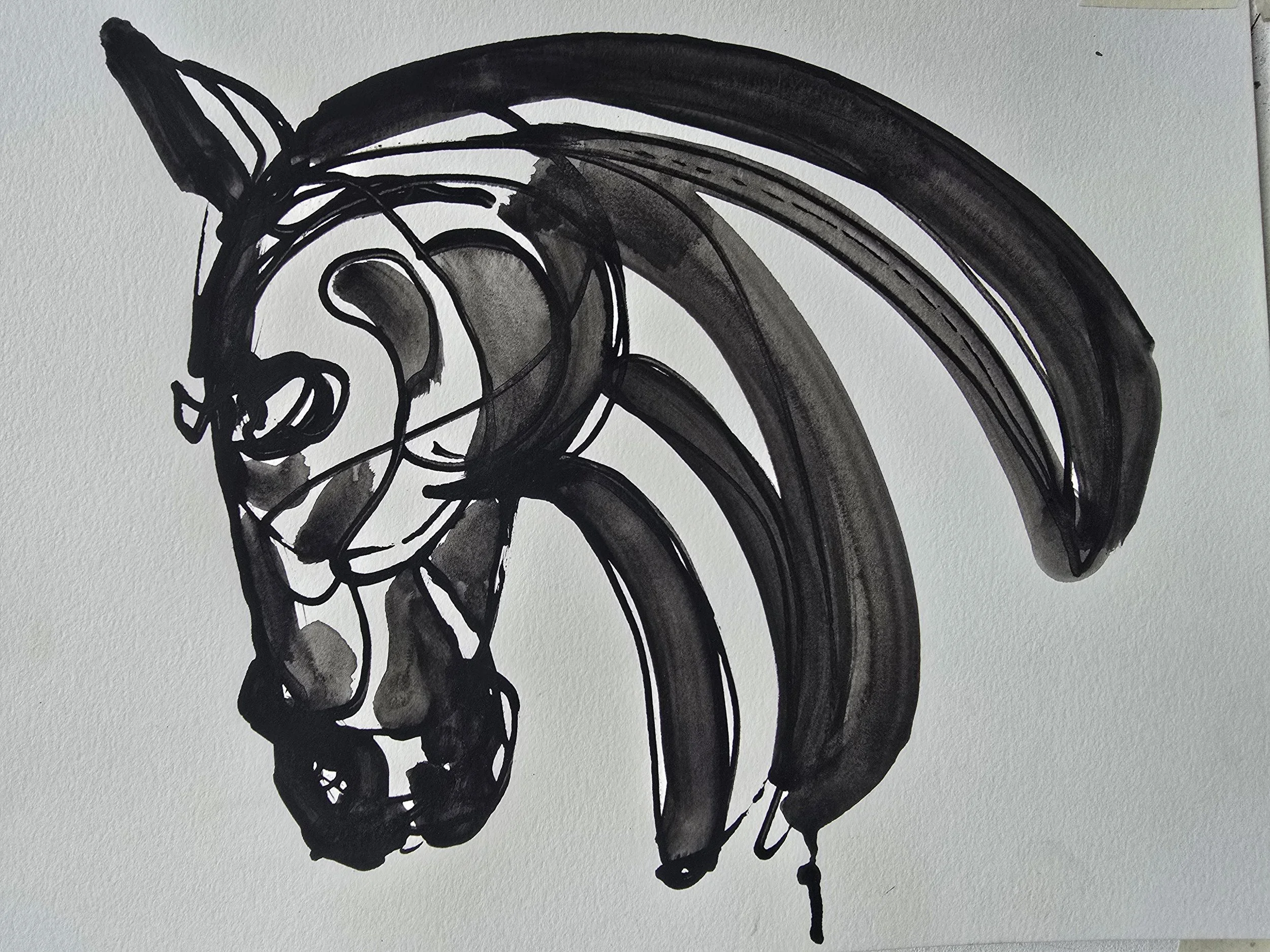 Drawing # 51