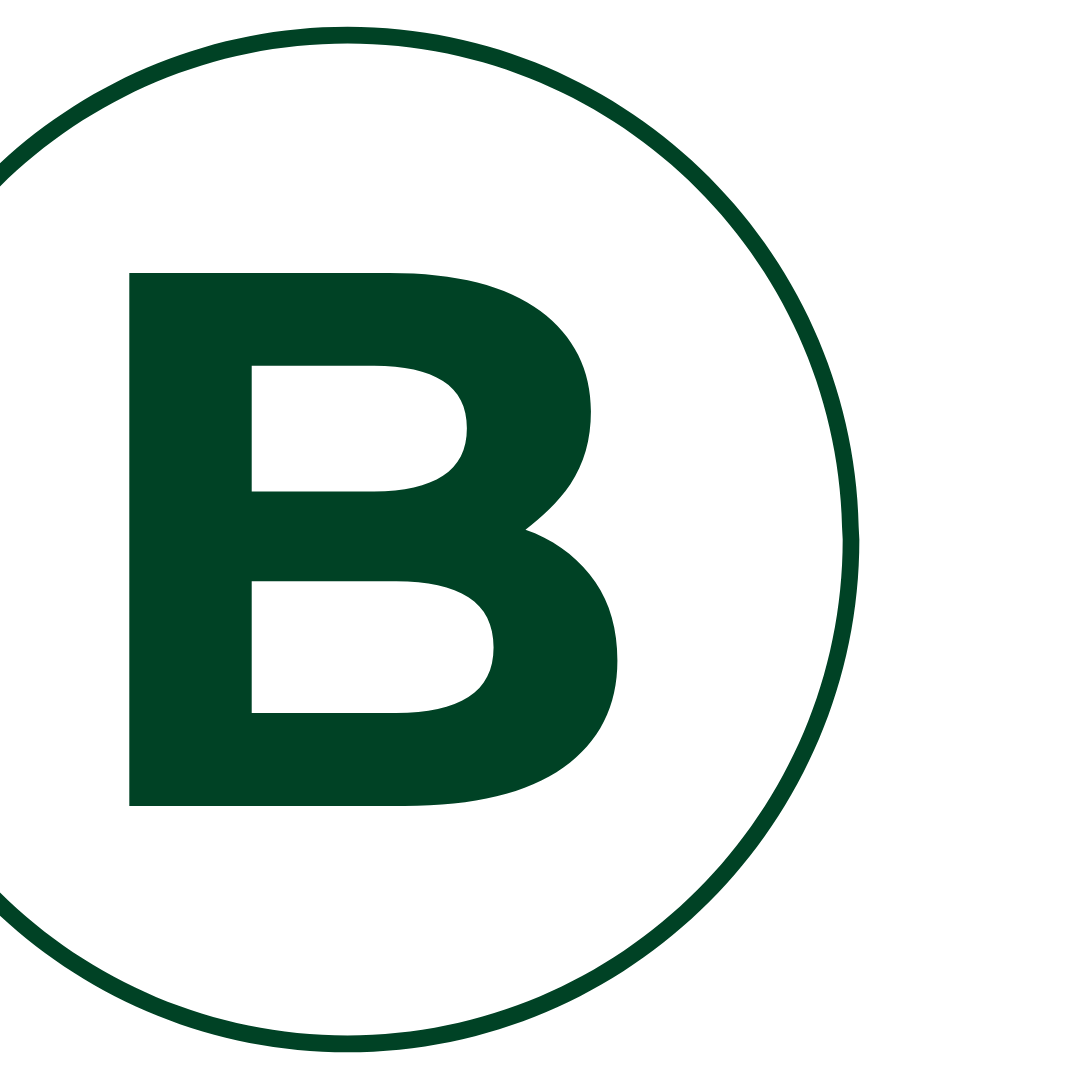 BRAD SANDS - STRATEGIC ADVISOR &amp; BUSINESS COACH
