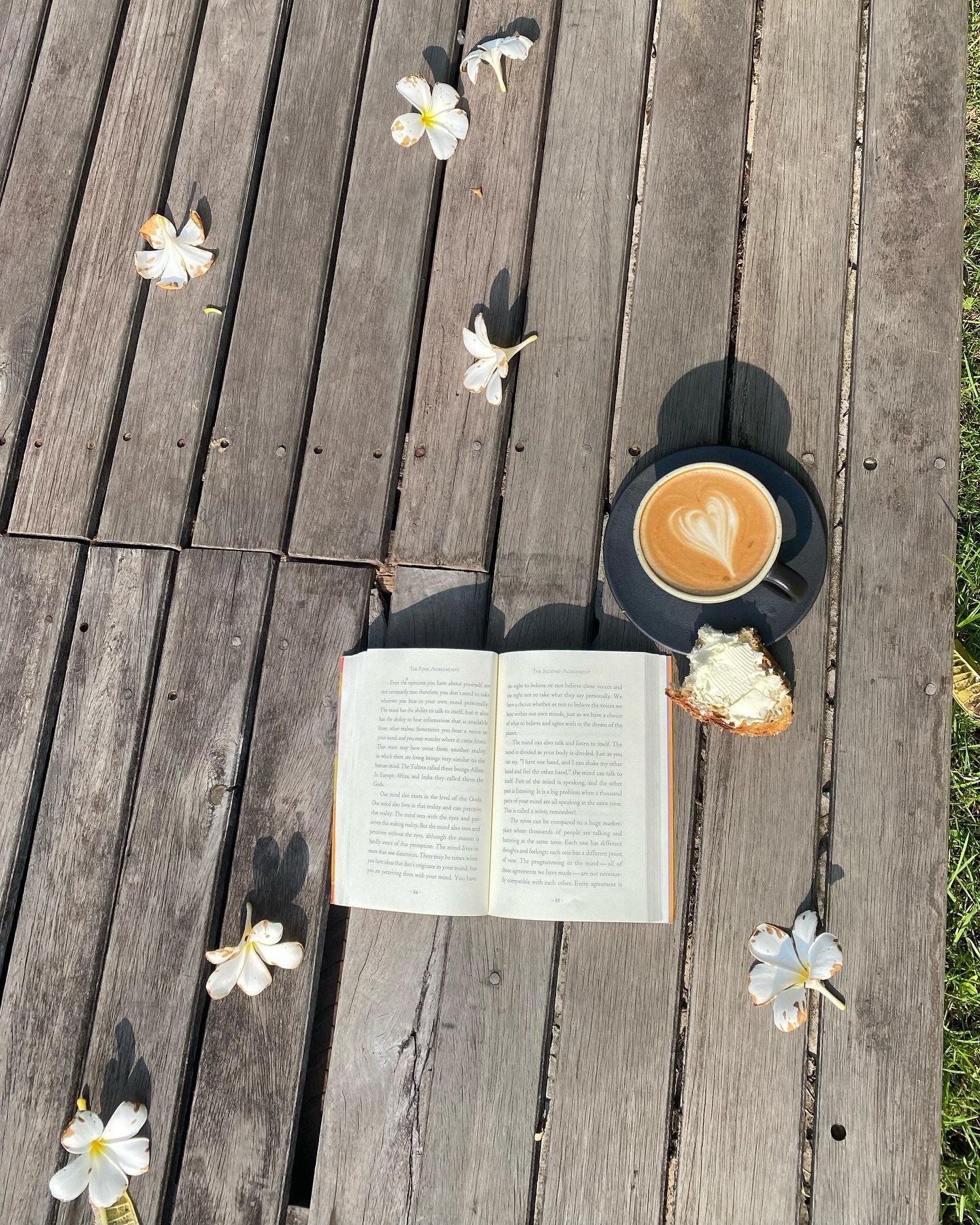 Mornings like this 📖 ☕️ 🌼