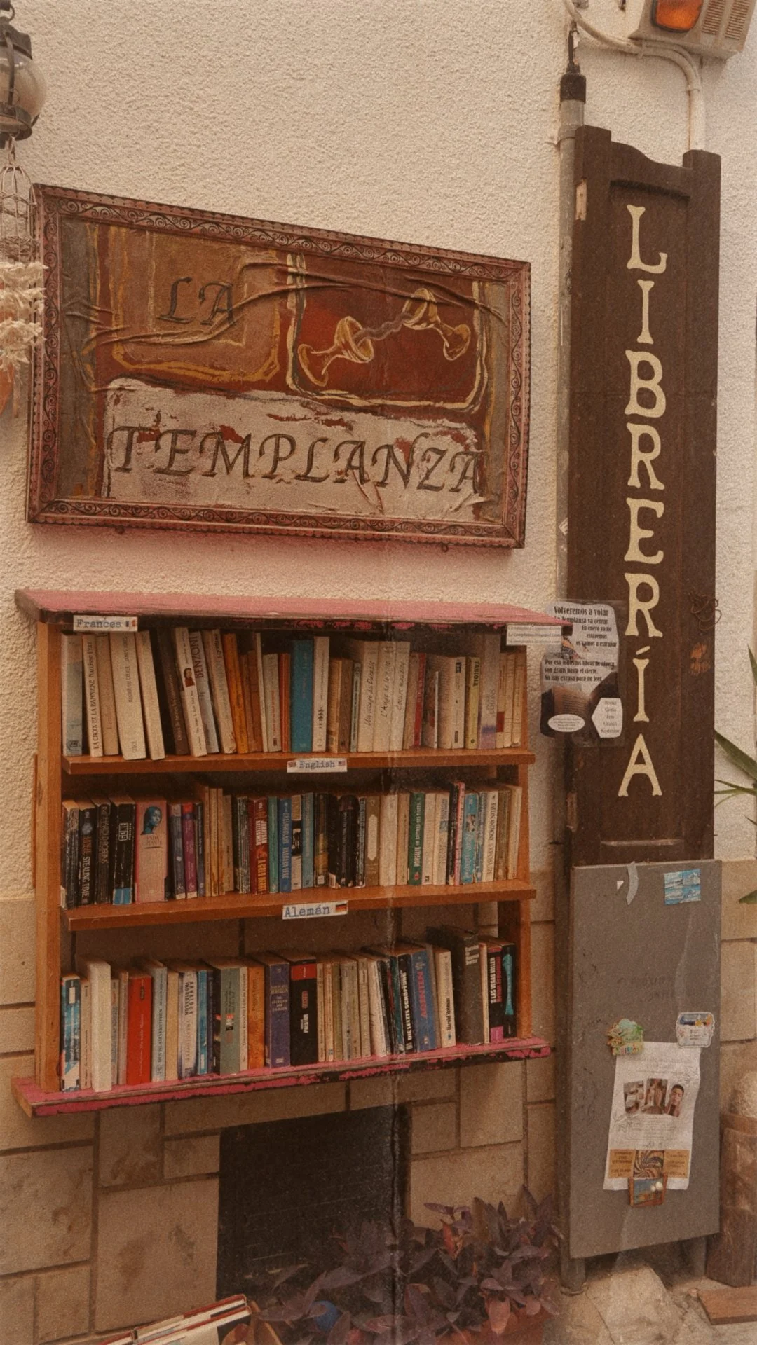 Tezza-3913.JPG