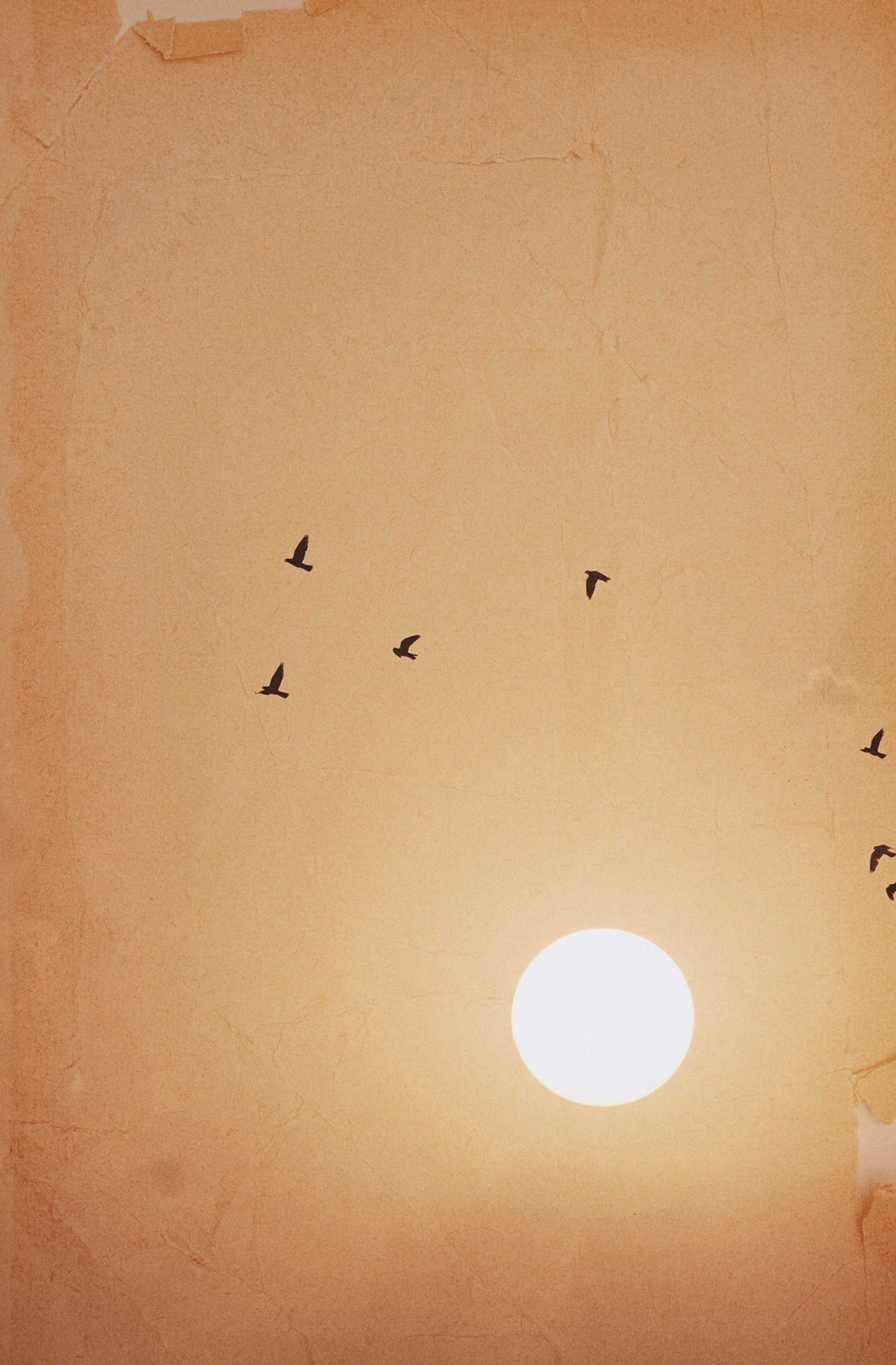 AfterlightImage 86 copia 5.JPG