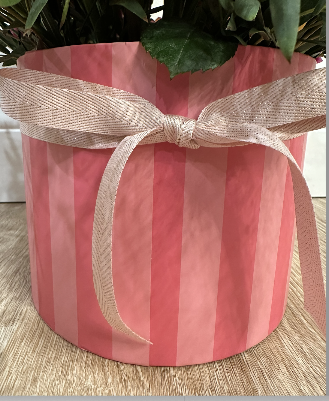 Screenshot 2026-01-12 at 10.19.04 AM.png