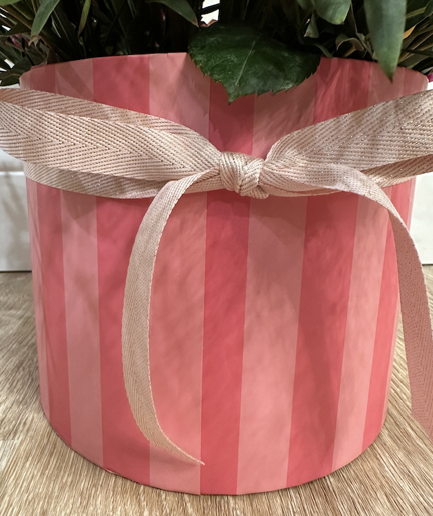 Screenshot 2026-01-13 at 12.49.00 PM.png