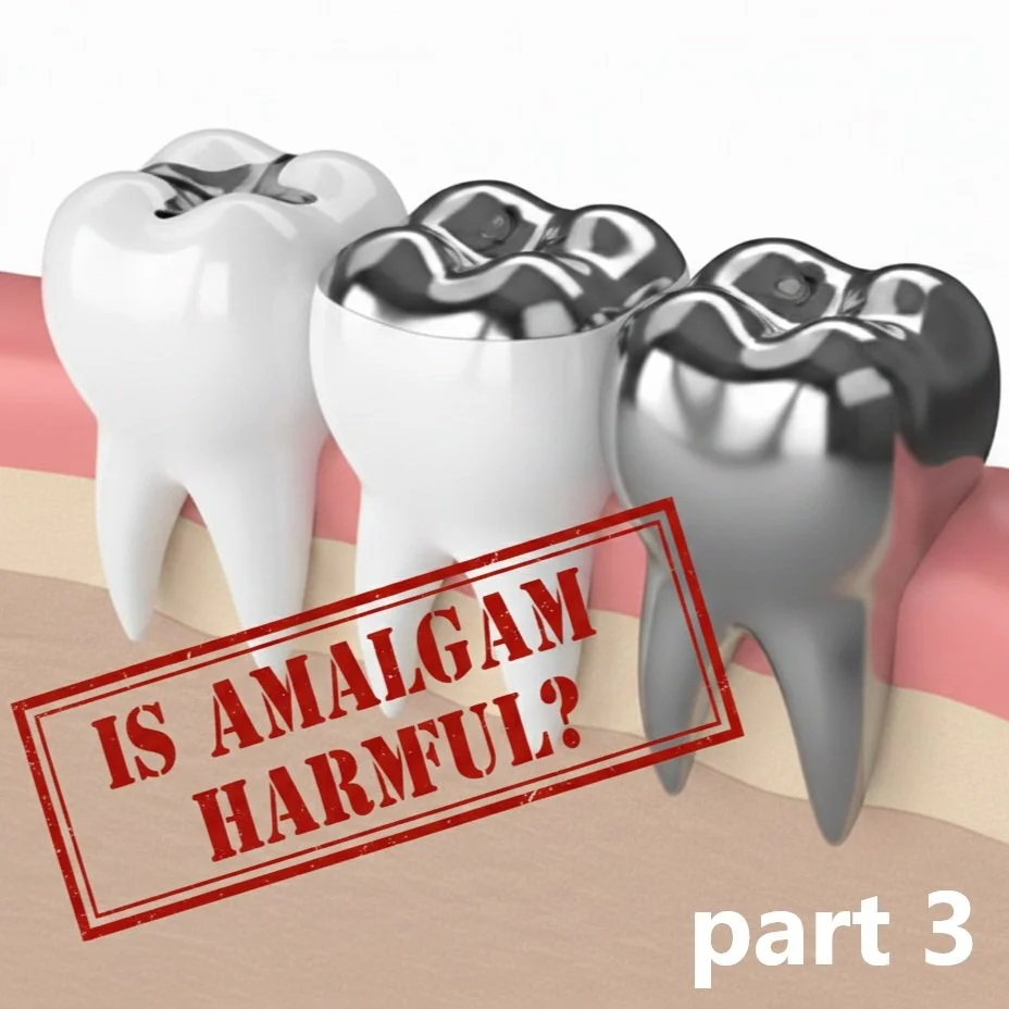 Dental Amalgam, Part 3: The Cumulative Effect