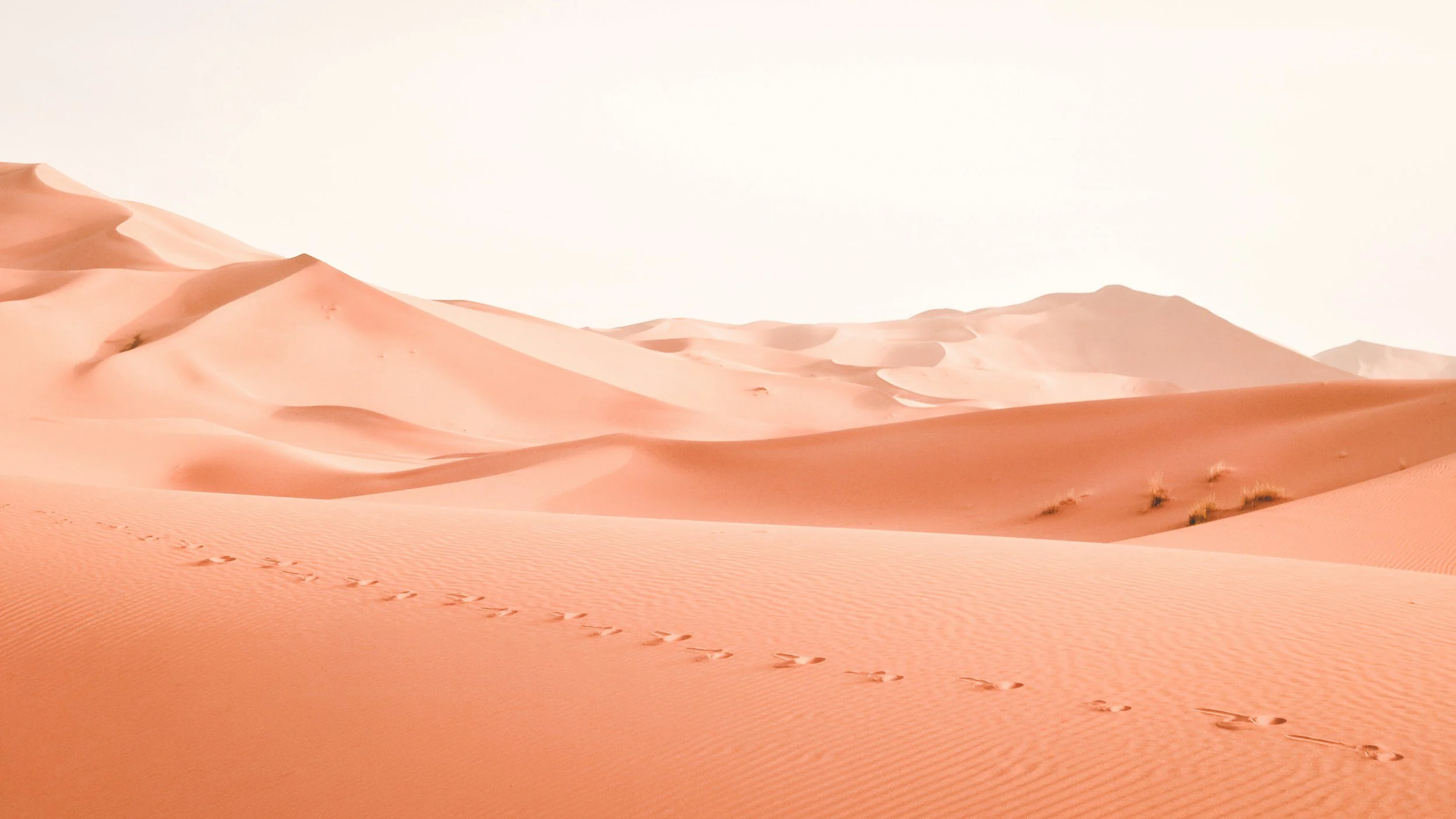 Sand dunes in a desert with footprints in the foreground and some sparse vegetation on the slopes.