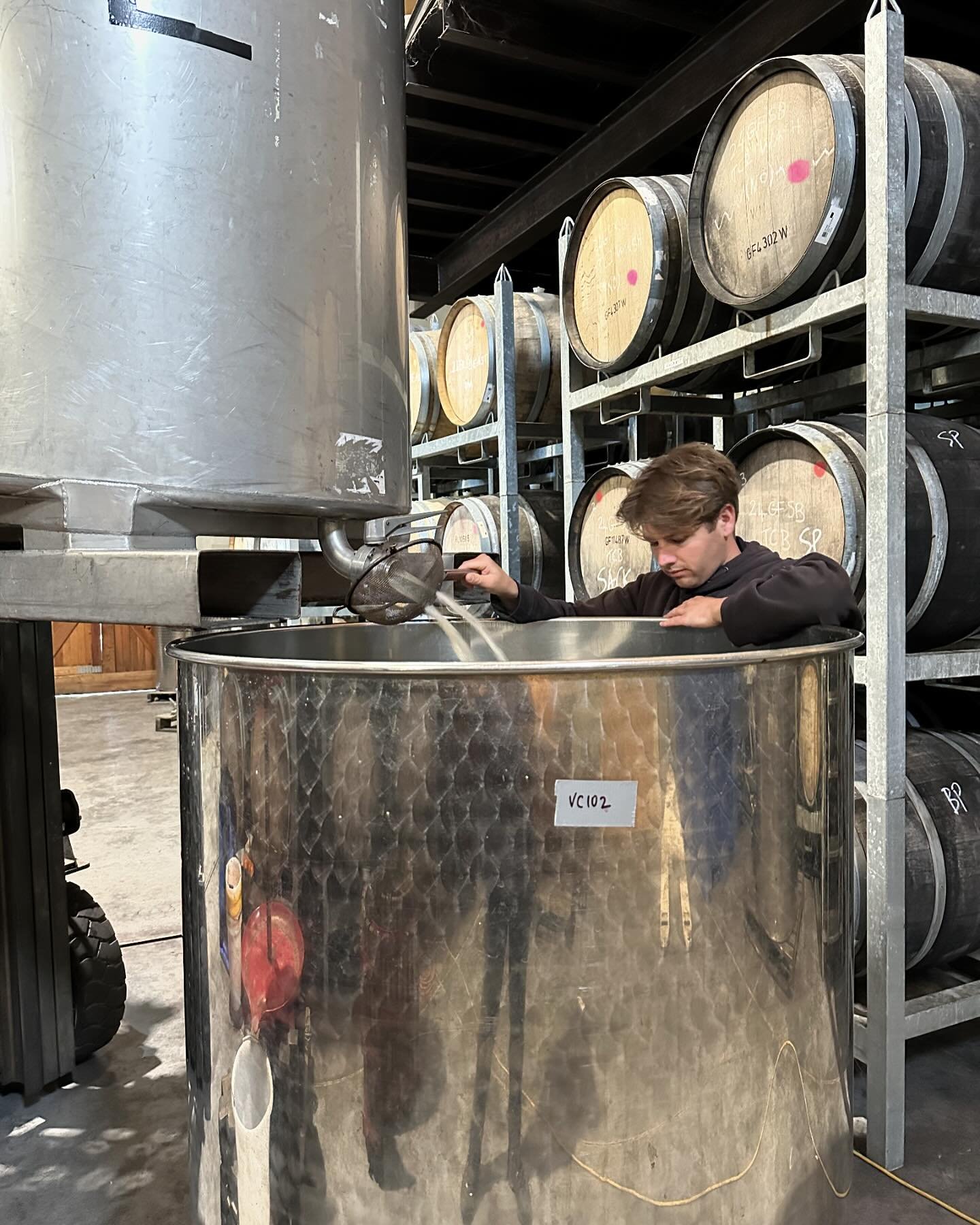 Final pressing of vintage 2024 this week!
Viognier from the Raupo Vineyard, 168 days/6 lunar months on skins. 95% of this was free-run, amazing how much the berries naturally break down over that period of time. This wine will be racked to neutral o