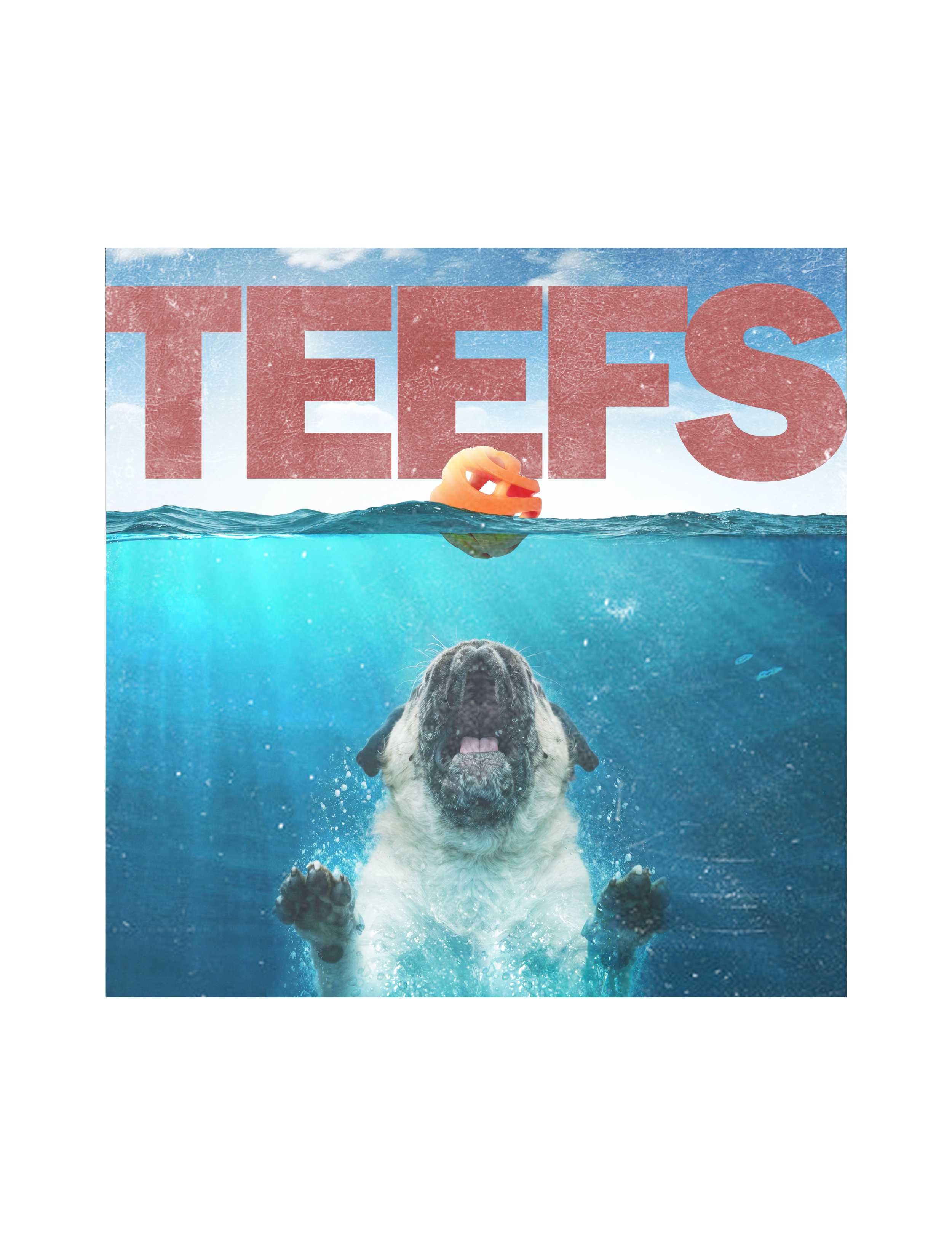 TEEFS.png
