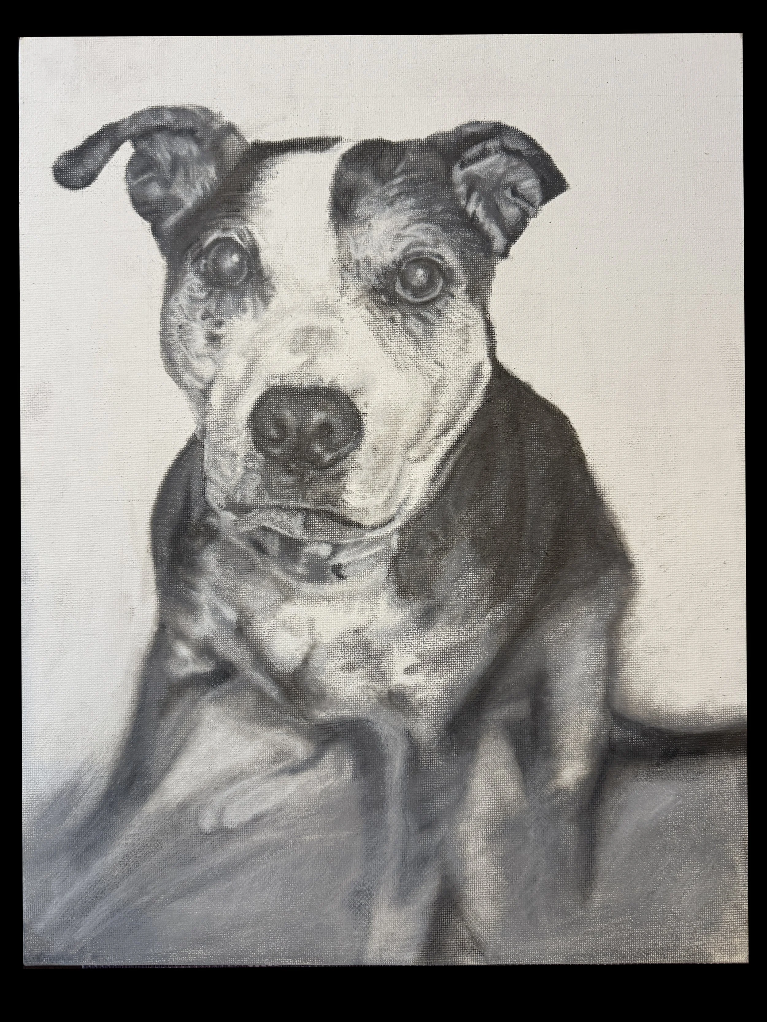 Shari Young_Dog.JPEG