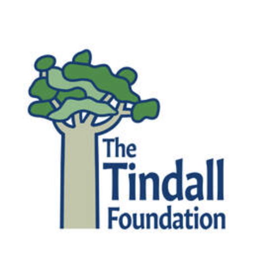 Logo of The Tindall Foundation featuring a stylized green tree with a beige trunk.