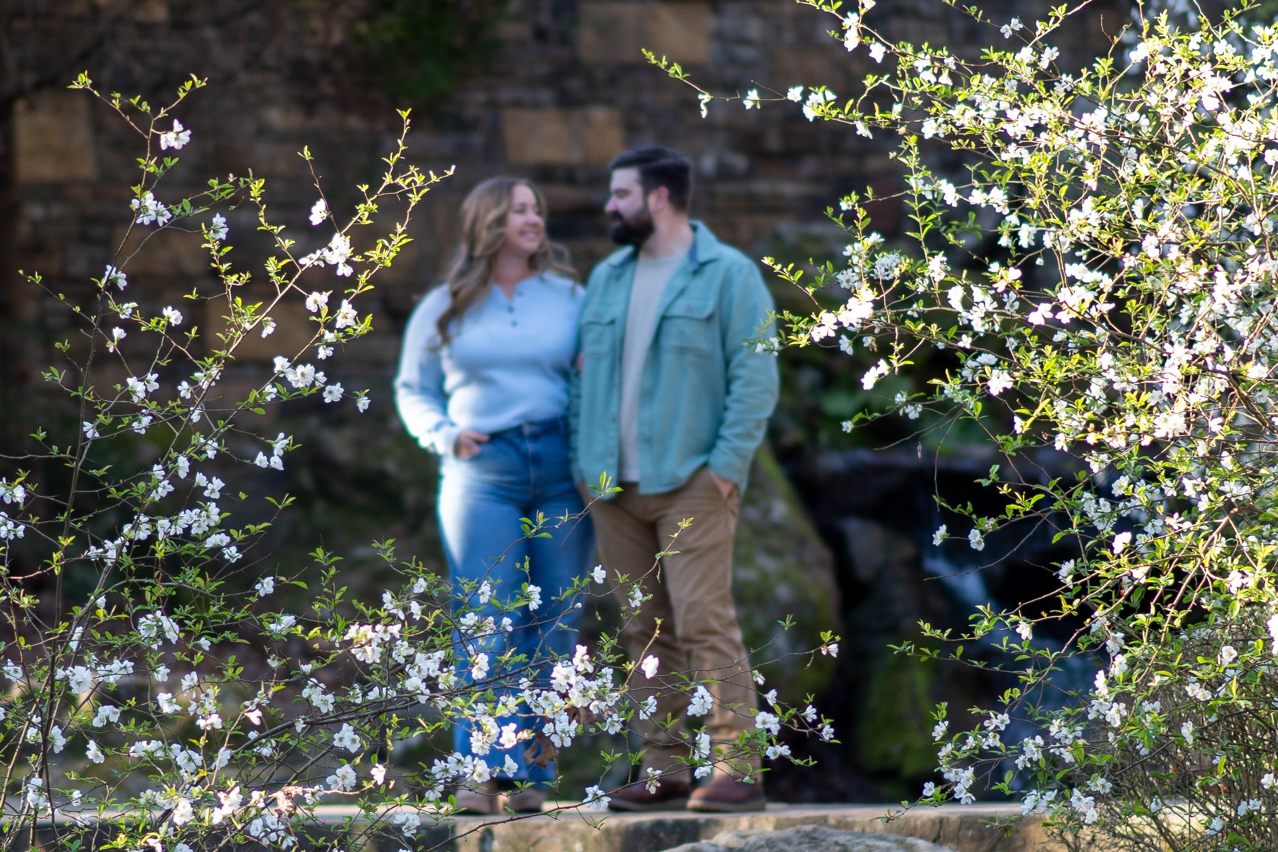 Blossoming tree branches framing a couple standing outdoors, blurred background.